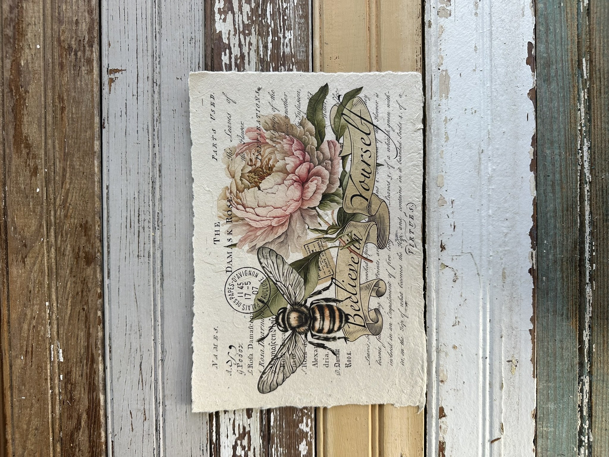 Artisan Paper Print