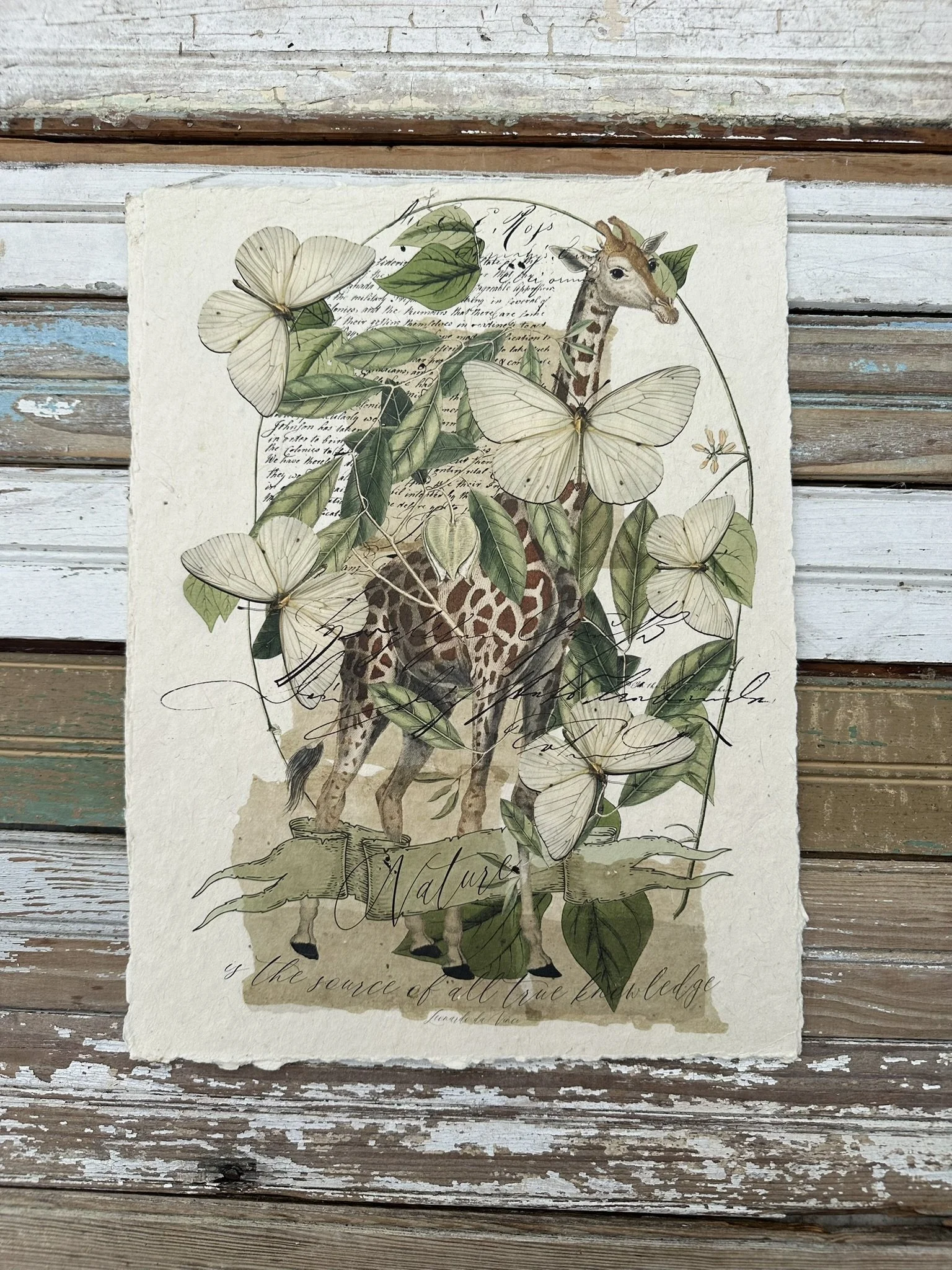 Artisan Paper Print