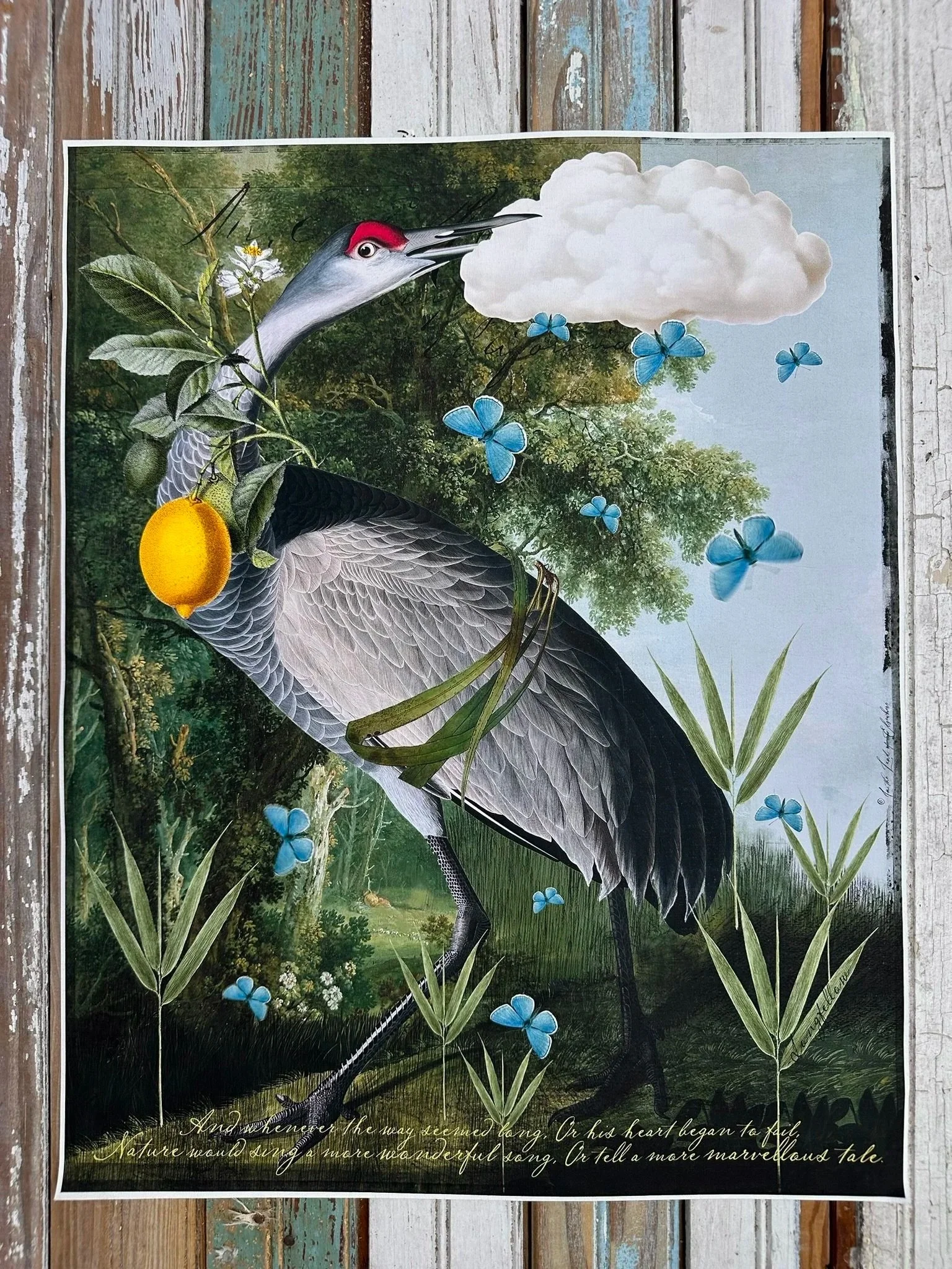 Canvas Print