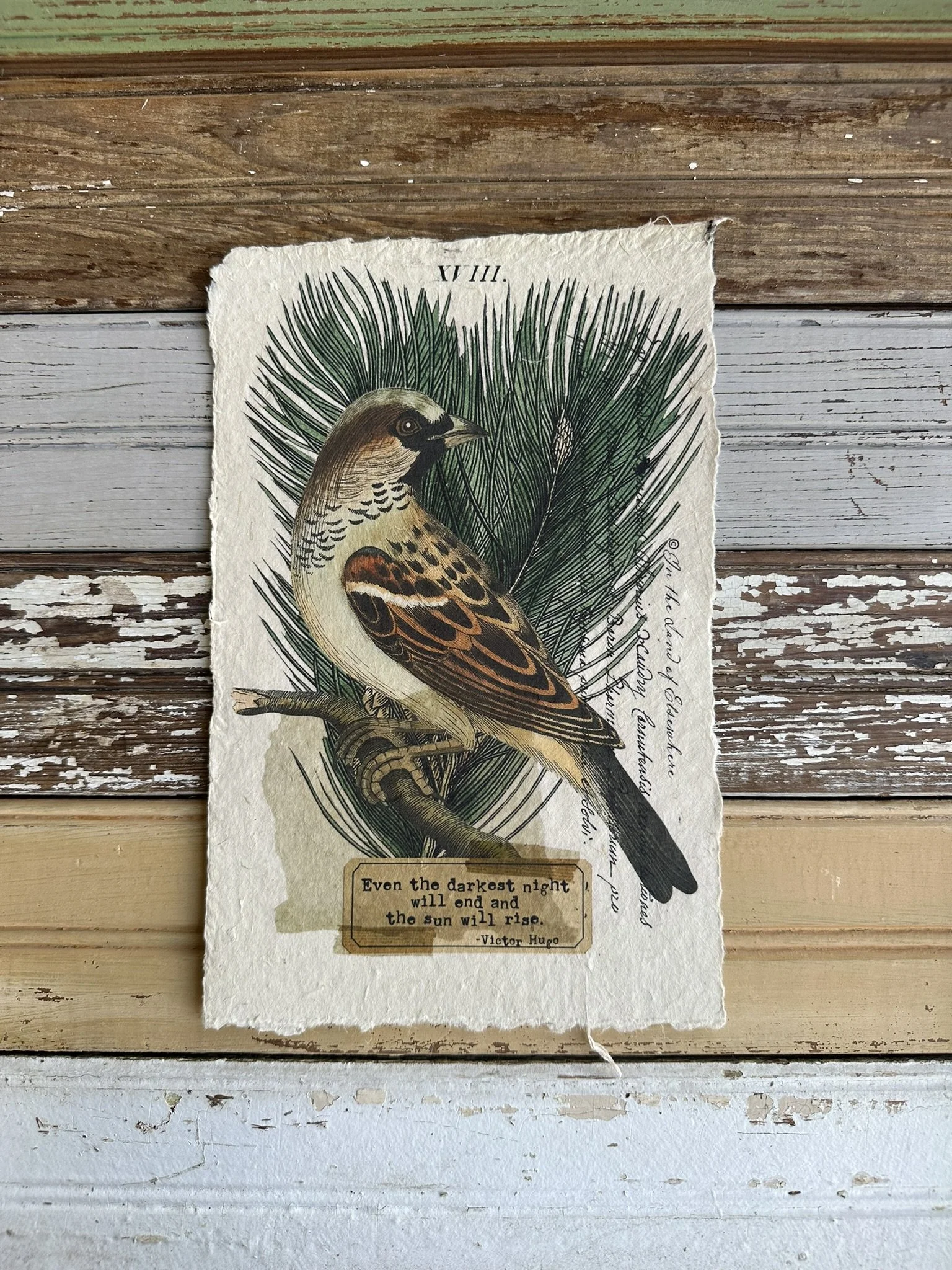 Artisan Paper Prints