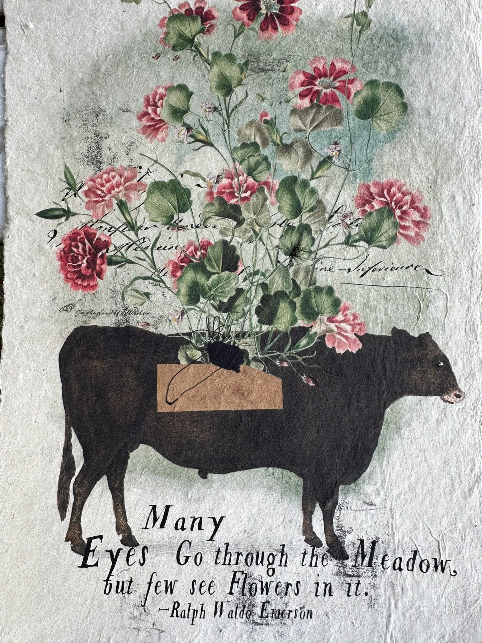 IMG_8056.JPEG