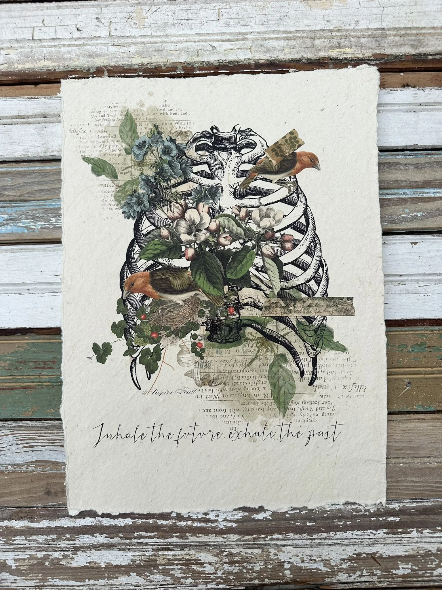 Artisan Paper Print