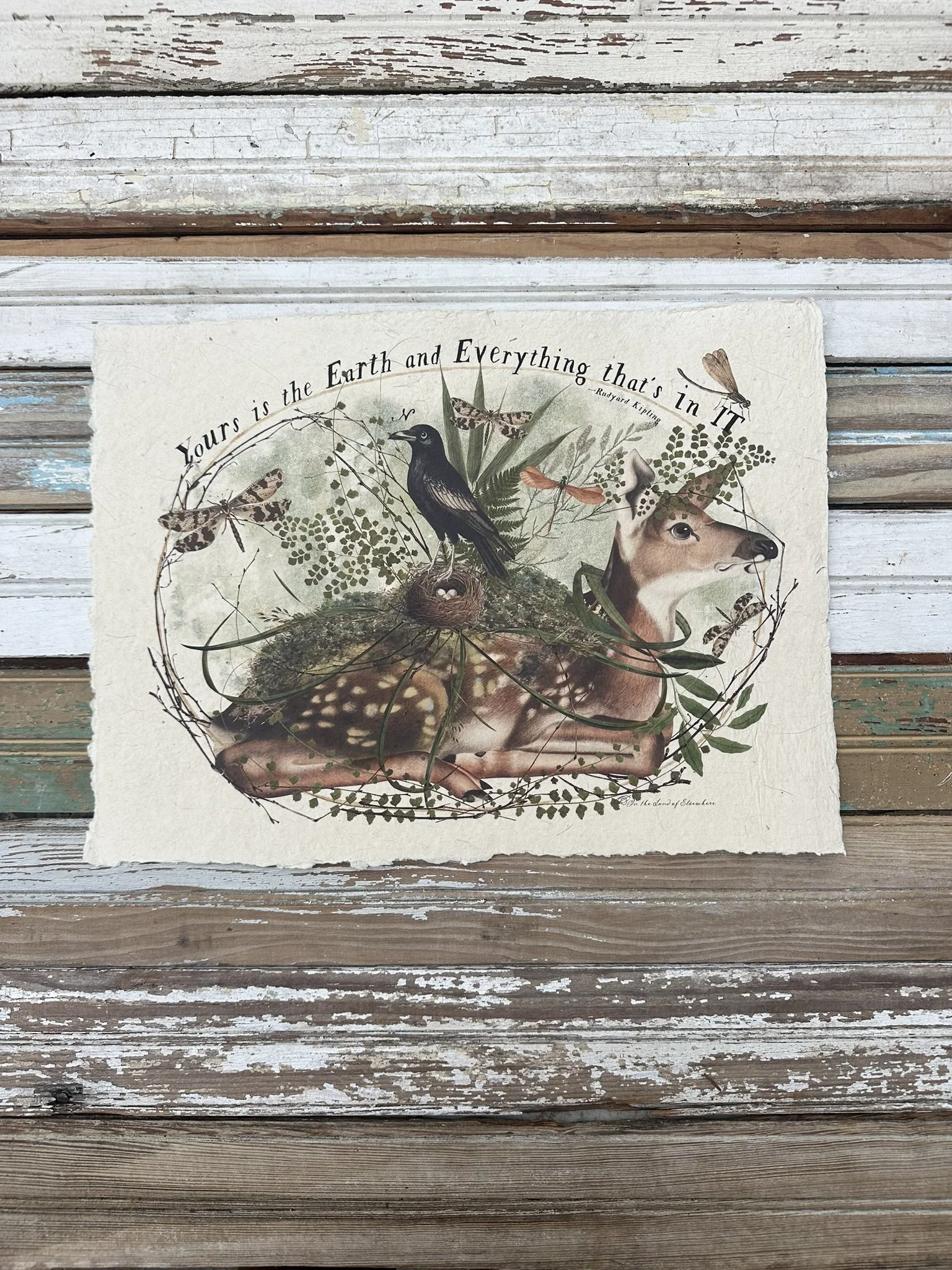 Artisan Paper Print