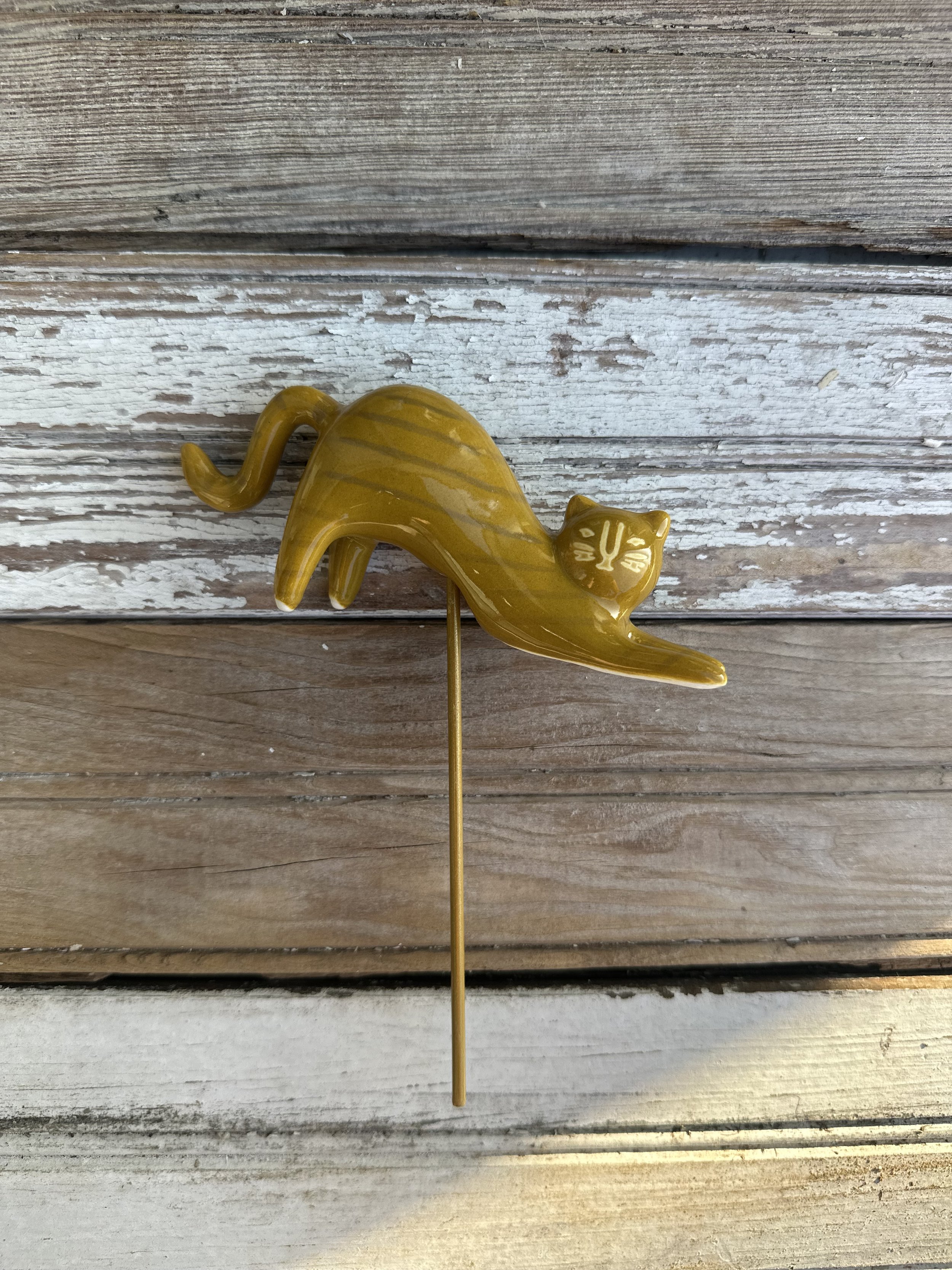 Orange Cat Plant Buddy