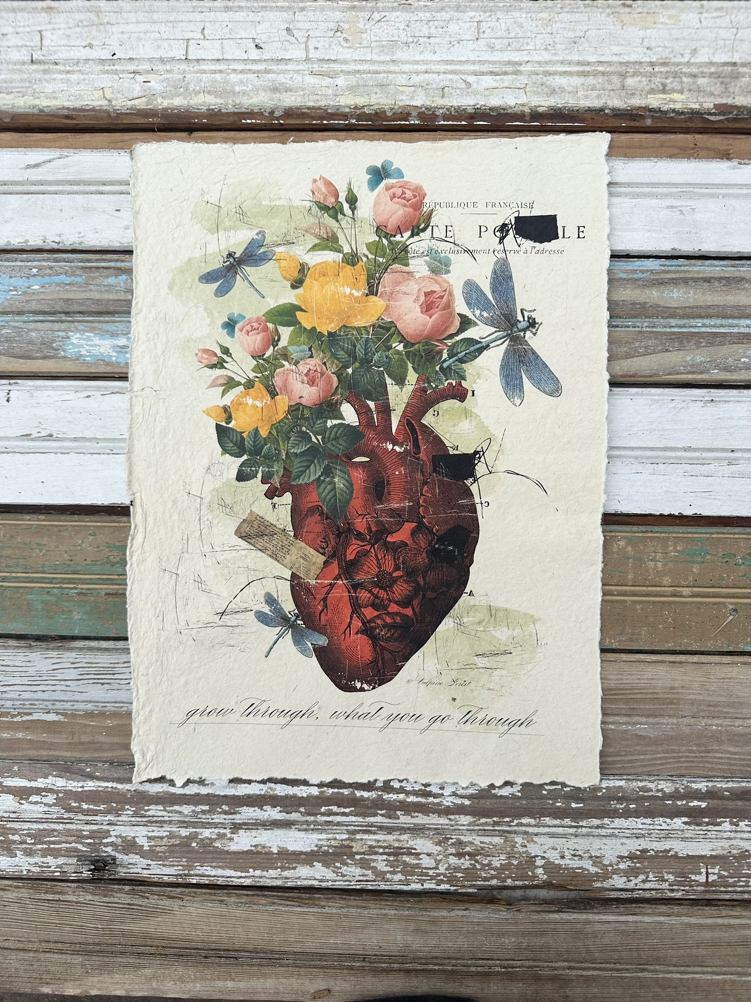 Artisan Paper Print