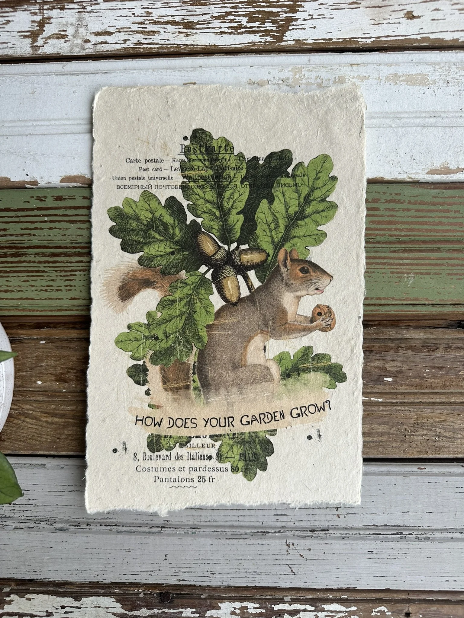 Artisan Paper Print