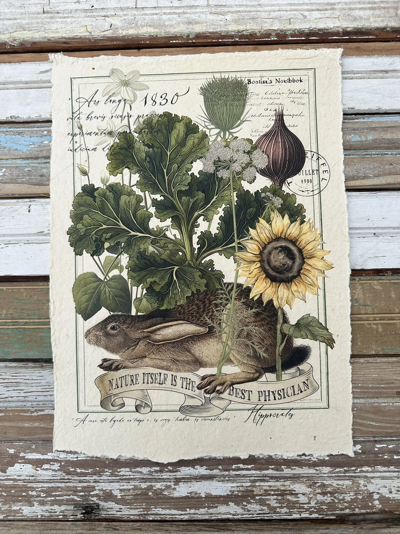 Artisan Paper Print