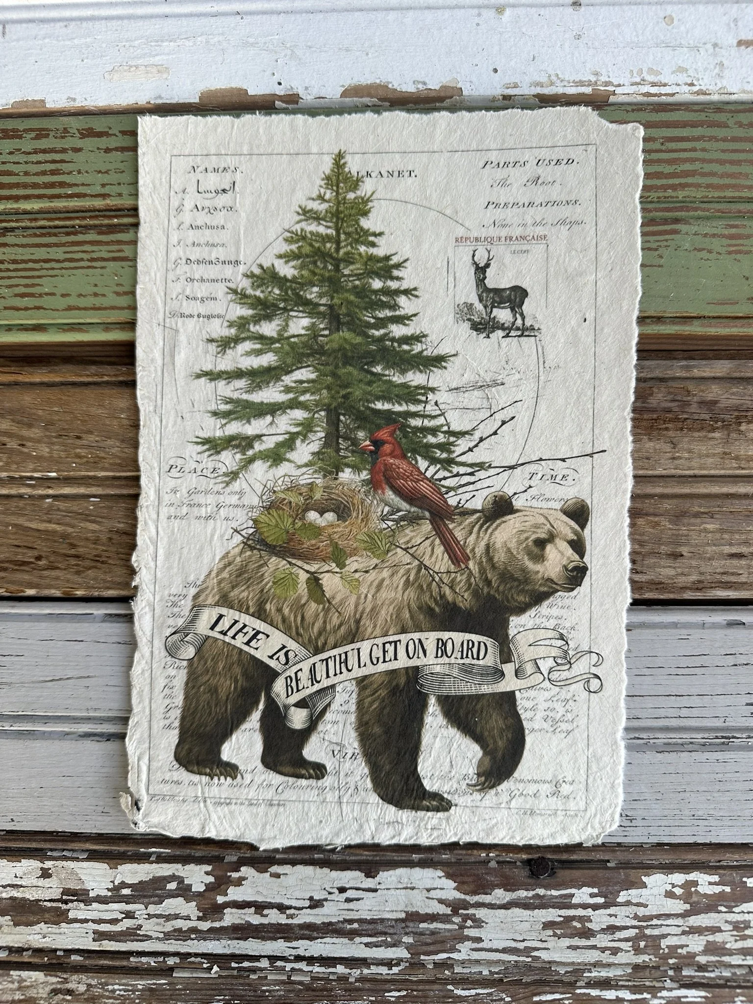 Artisan Paper Print
