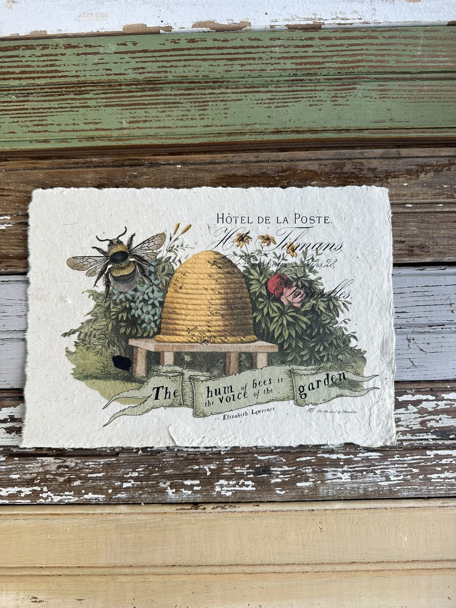 Artisan Paper Print