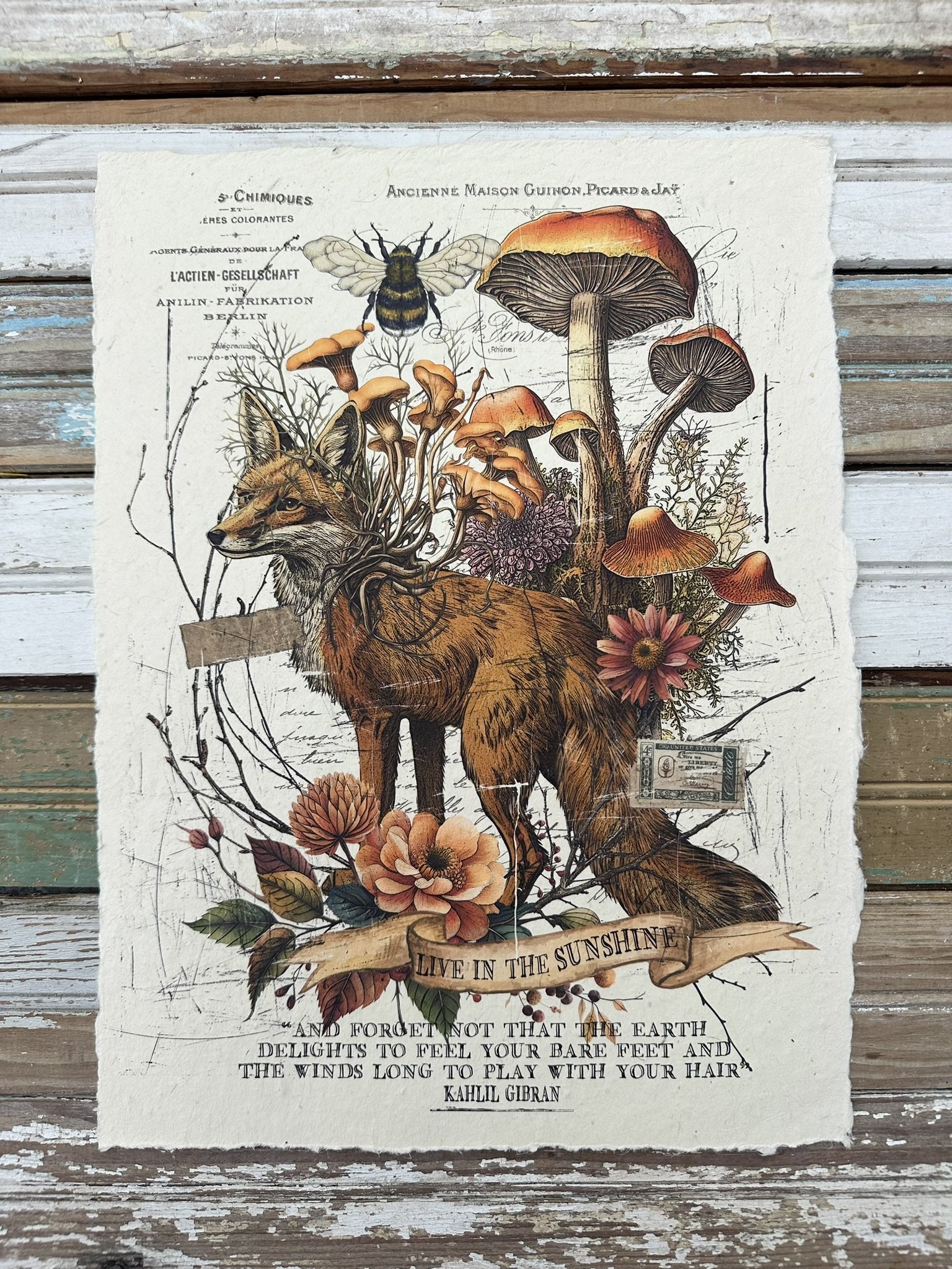 Artisan Paper Print