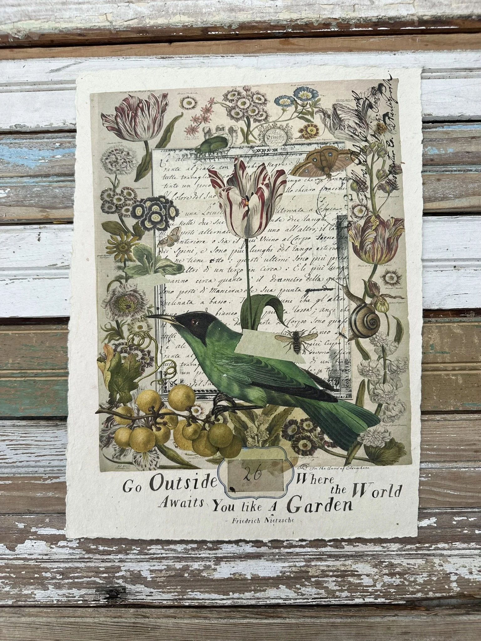 Artisan Paper Print