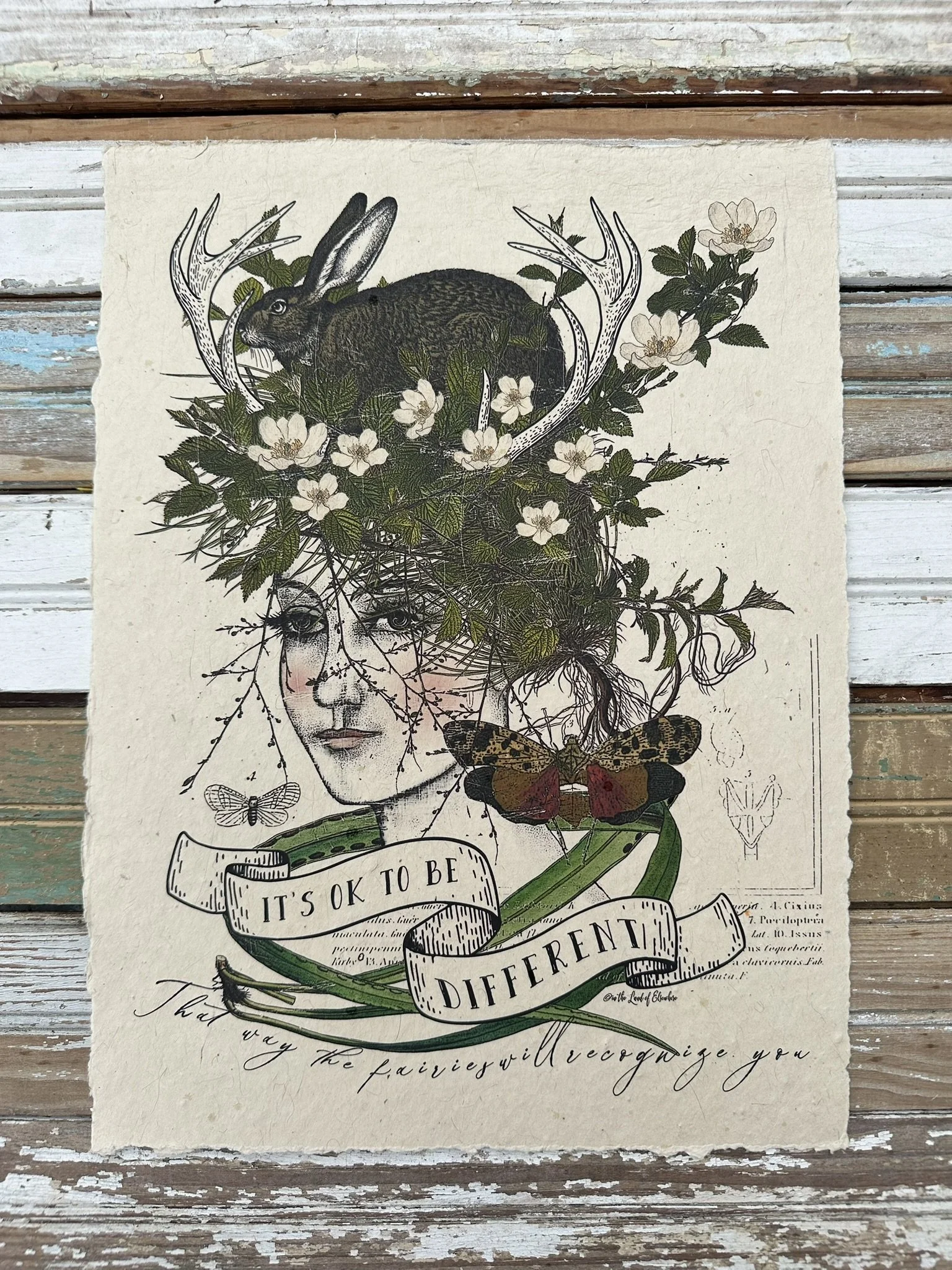 Artisan Paper Print