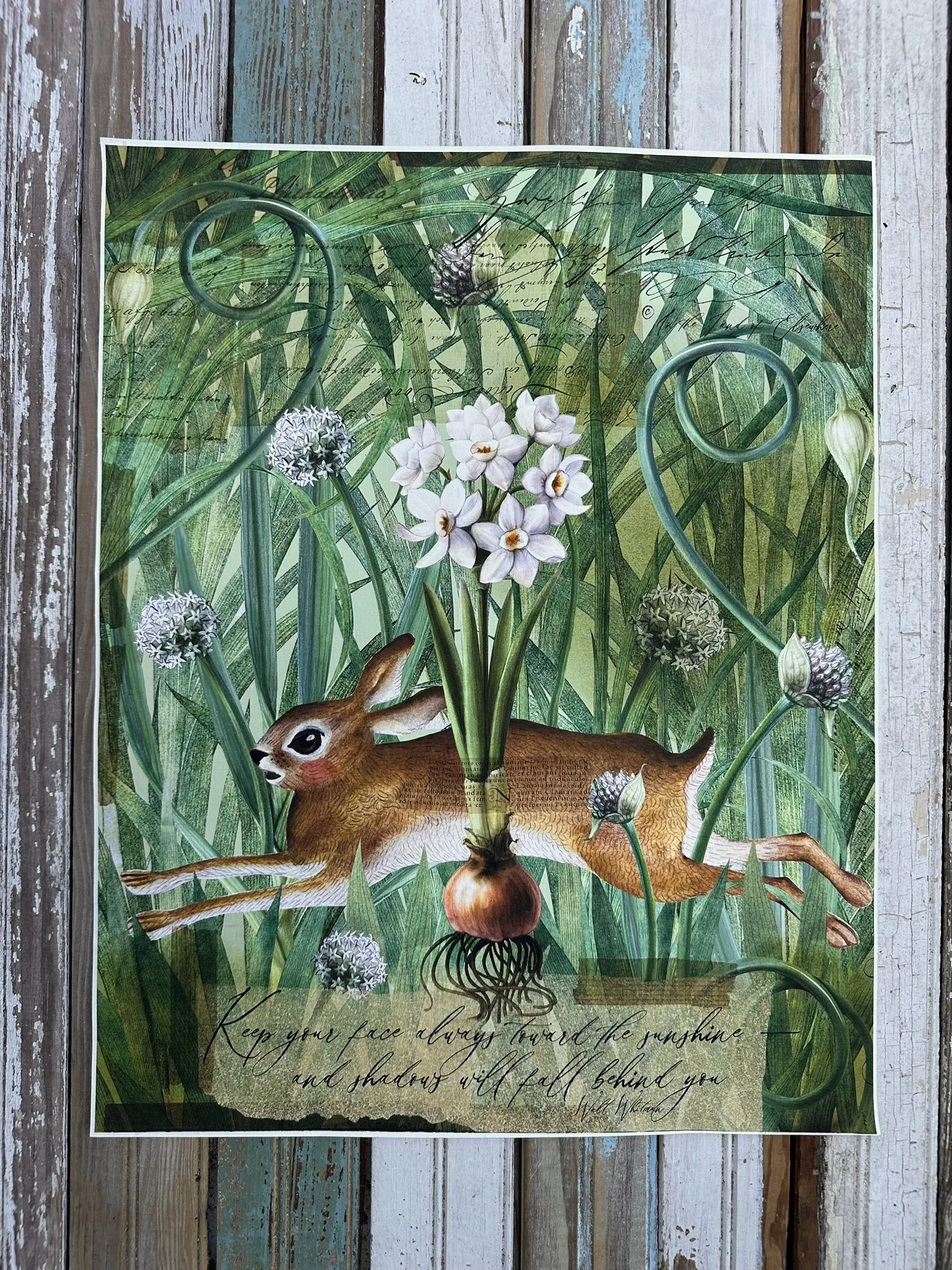 Canvas Print