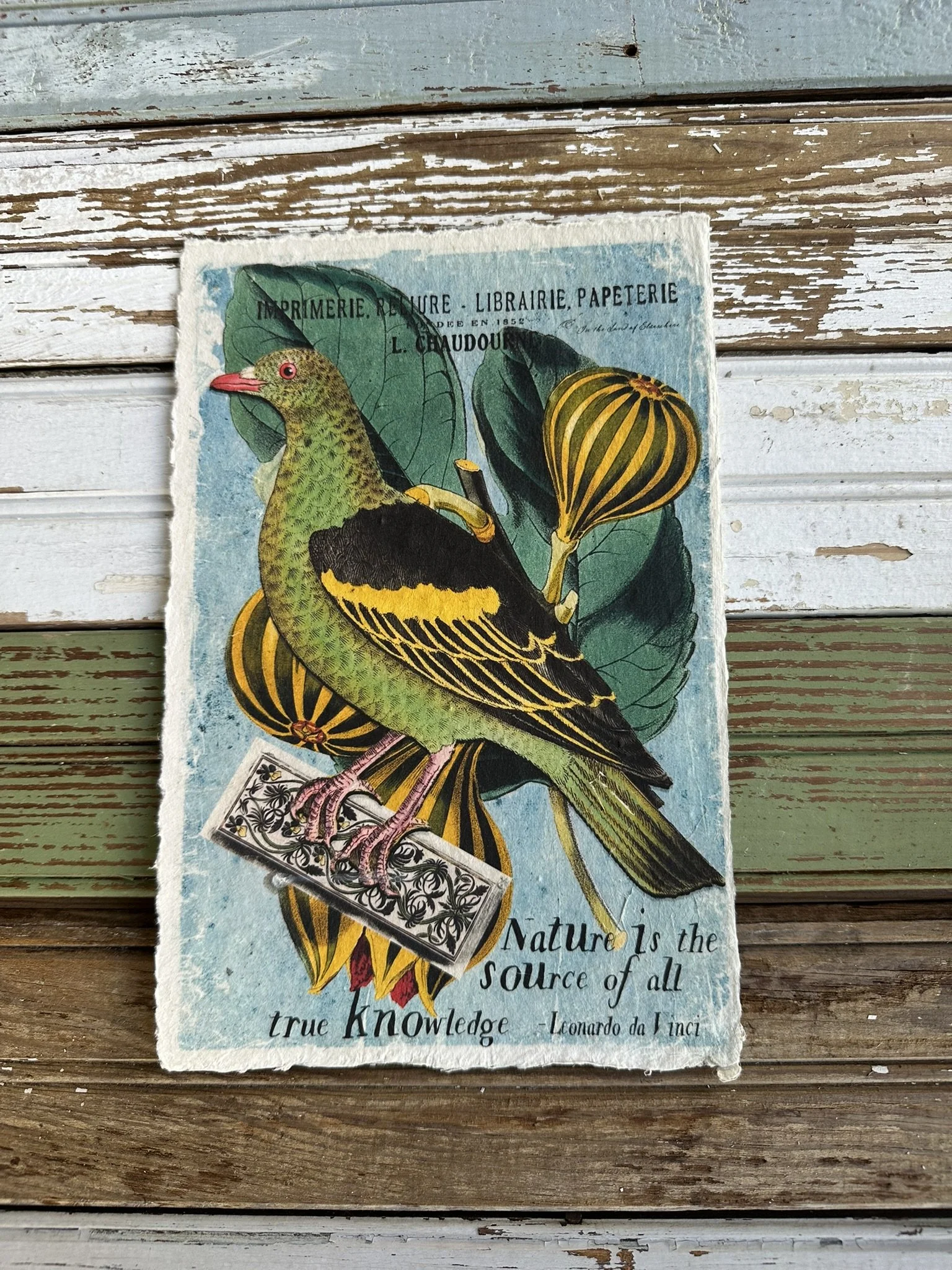 Artisan Paper Prints
