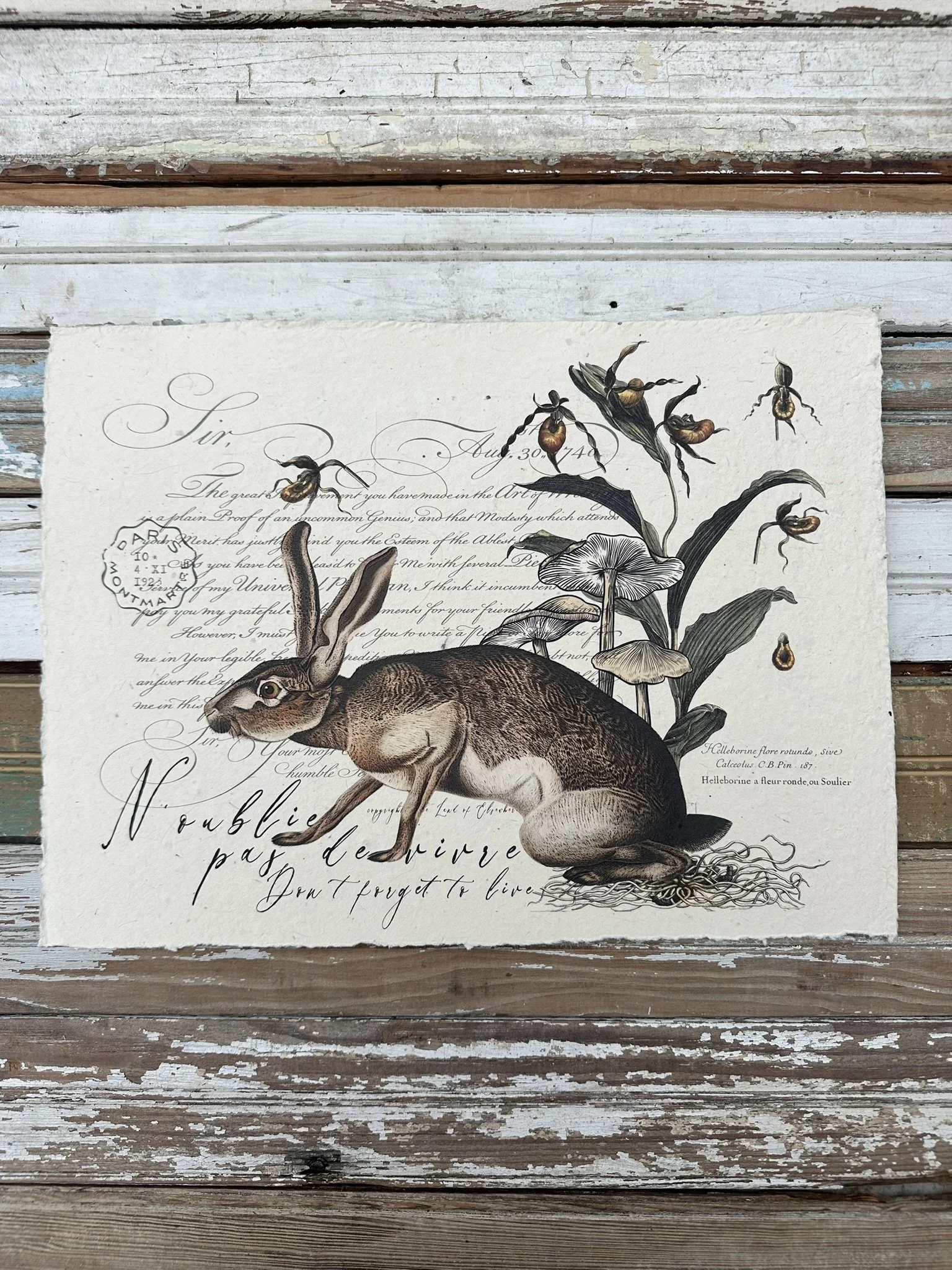 Artisan Paper Print