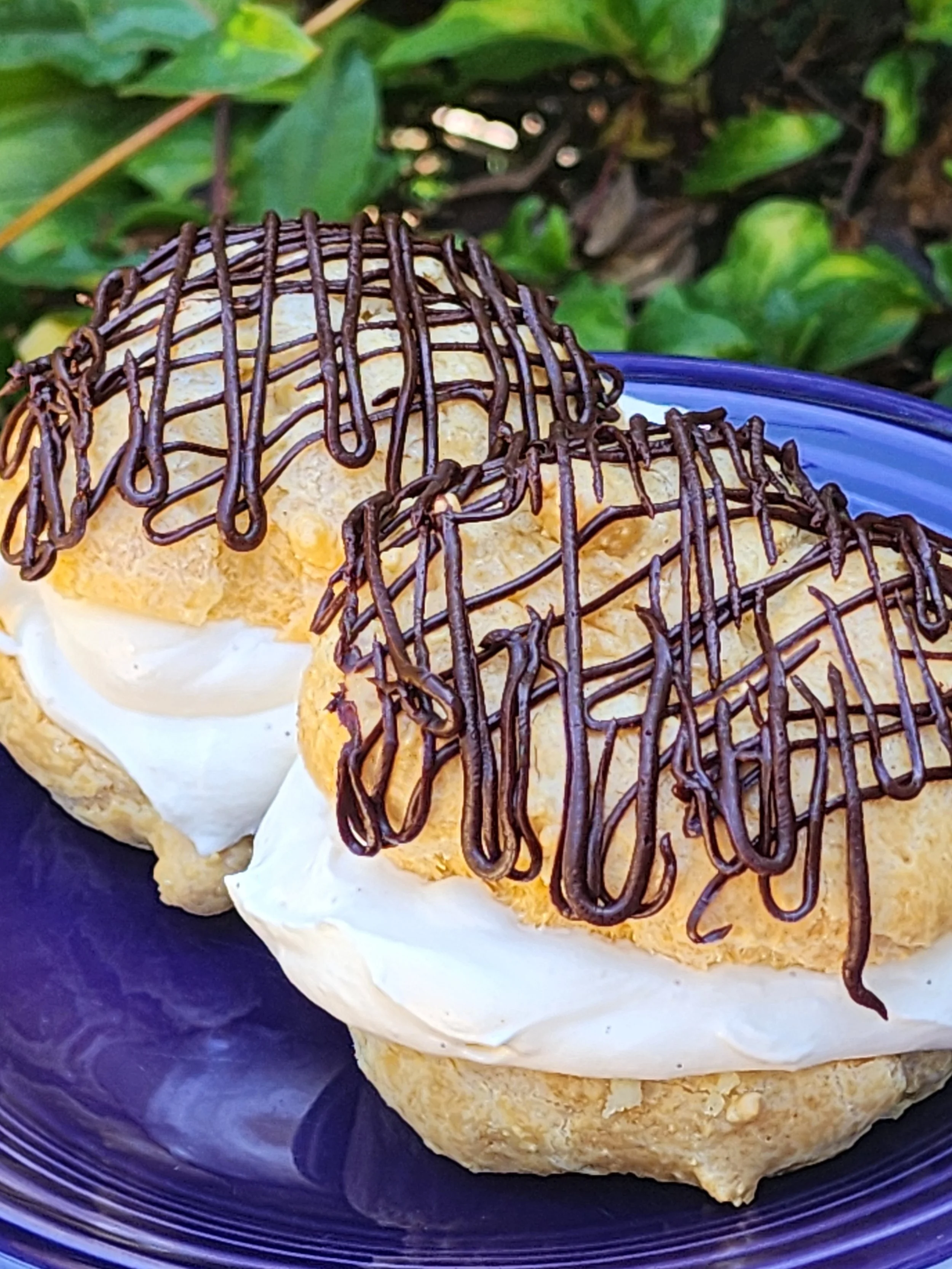 20250801_125528.jpg (Copy)