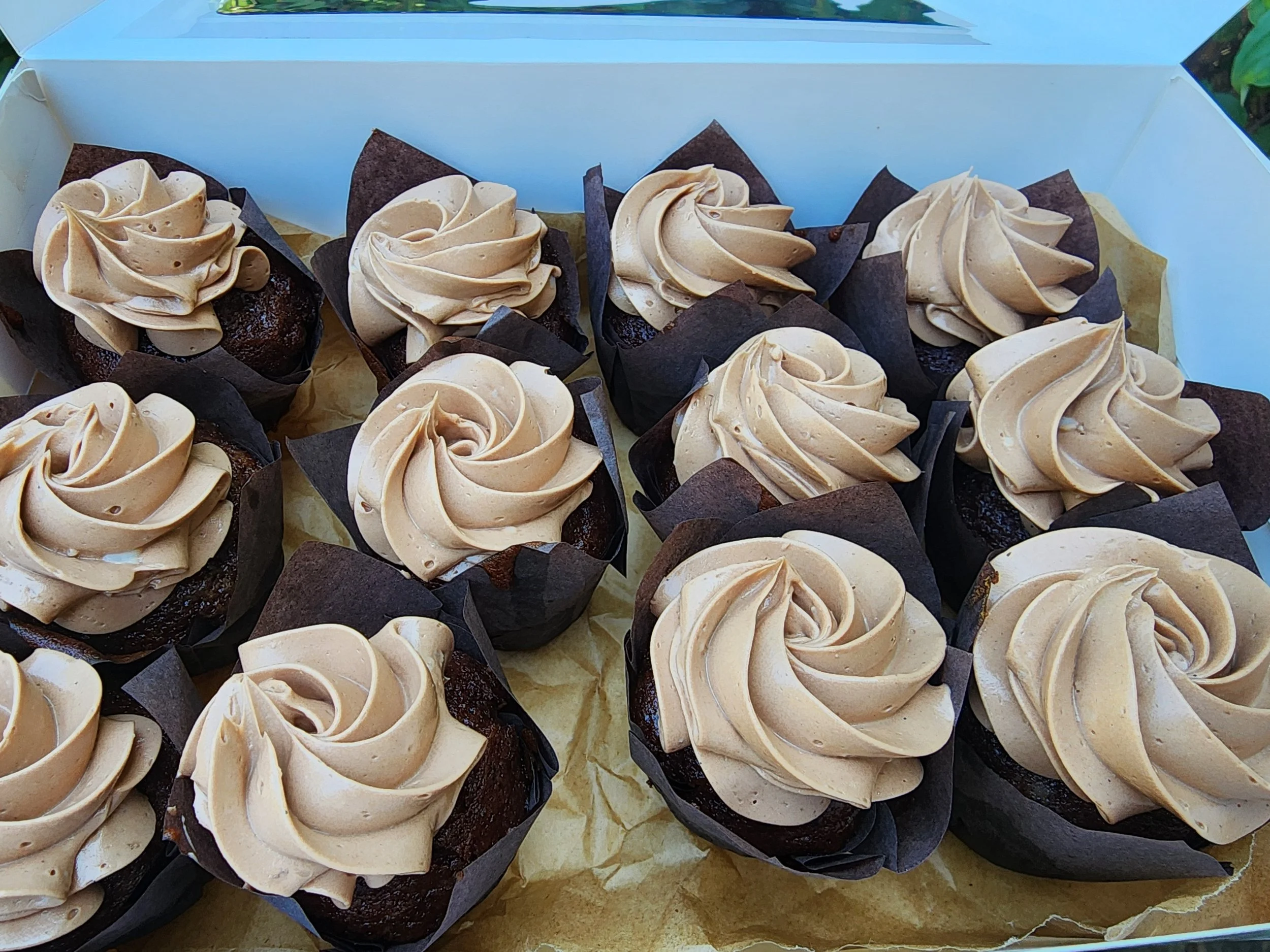 20250809_123500.jpg (Copy)