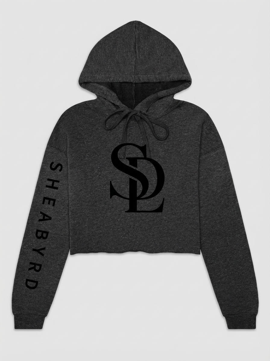 Dark gray hooded sweatshirt with black graphics and text, featuring a large stylized logo on the front and the words 'SHEABYD' printed vertically along the left sleeve.