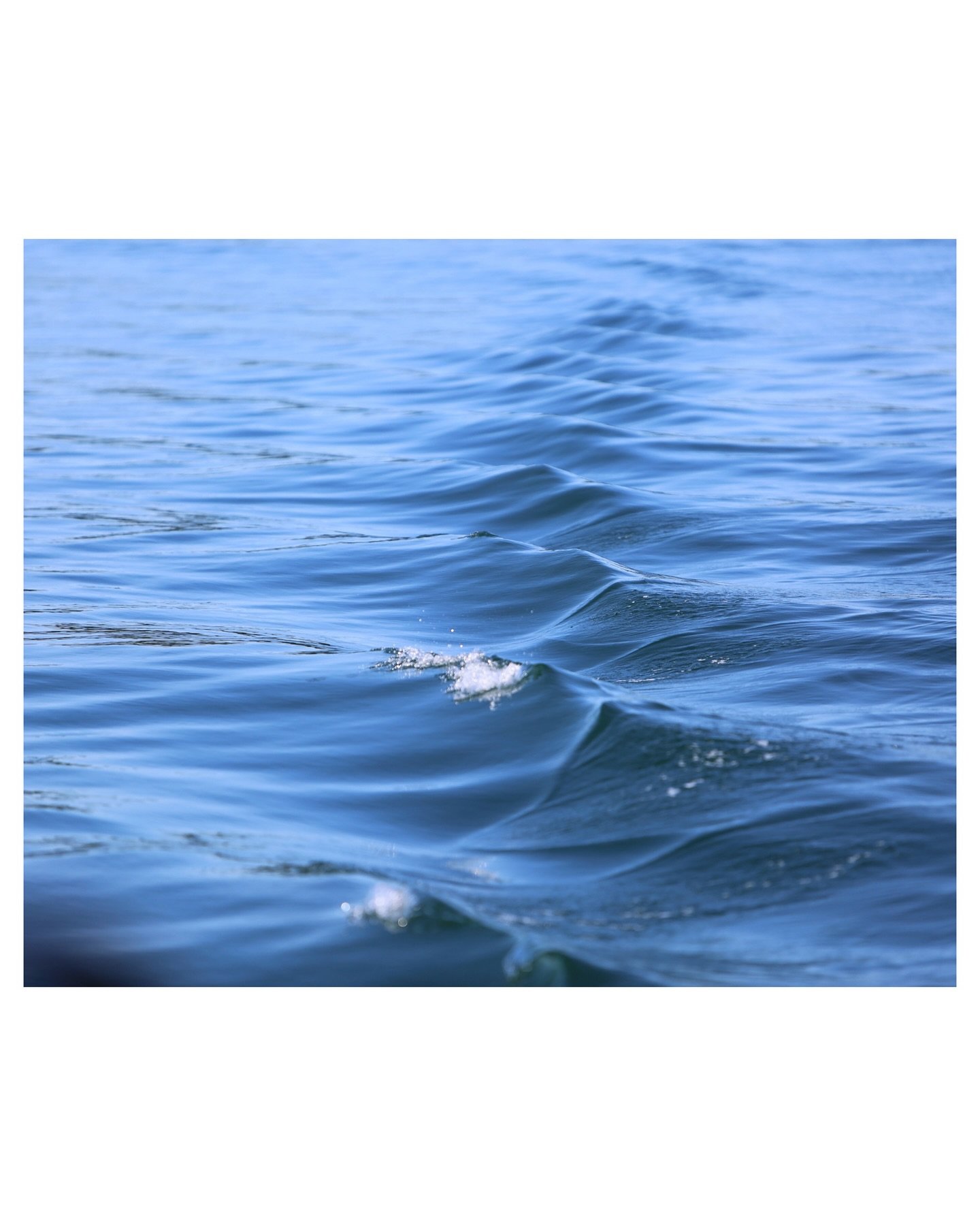 Textures: pt. 2.

Just patterns occurring naturally.

📸: Canon EOS 5D Mark III

#photography
#photographyart
#freelancerphotographer
#summervibes
#naturephotography
#outdoorphotography 
#wildlifephotography