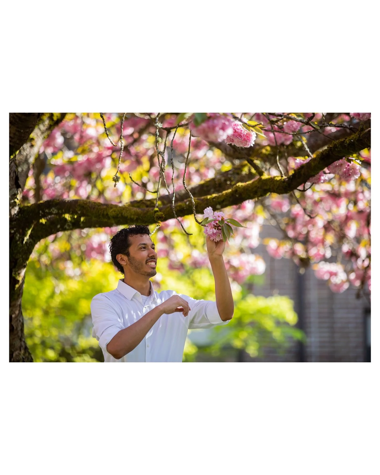 PLU Graduation: Part 2/2.

Congratulations to PLU&rsquo;s class of 2025! 🎉🎉🎉

📸: Canon EOS 5D Mark III

#photography
#photographyart
#graduationphotoshoot 
#2025graduate🎓 
#springvibes
#pacificlutheranuniversity
#plugrad