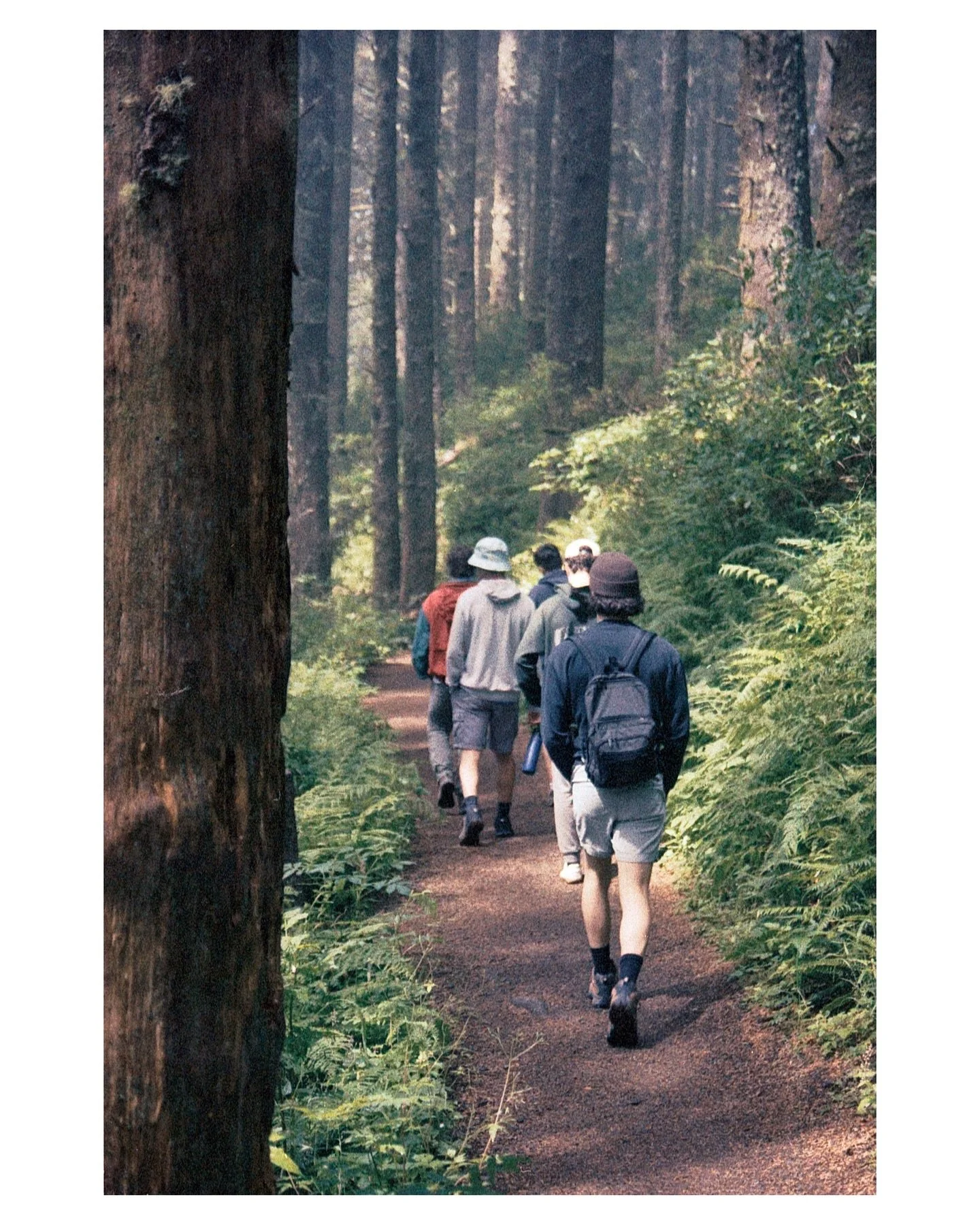 From the woods of Oregon.

Shot on Wulfen 35mm color film.

📸: Canon EOS Rebel 2000

#photography
#photographyart
#freelancerphotographer
#naturephotography
#outdoorphotography 
#wildlifephotography