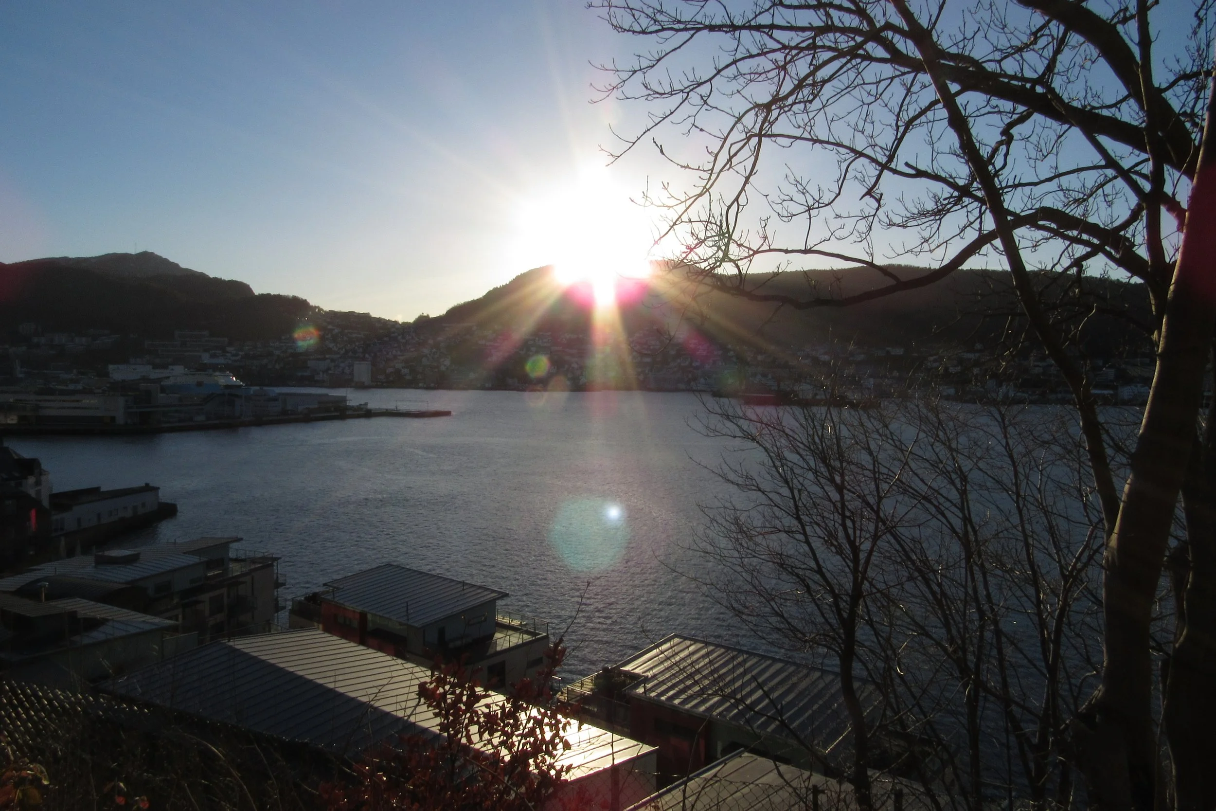 Copy of IMG_3458.JPG