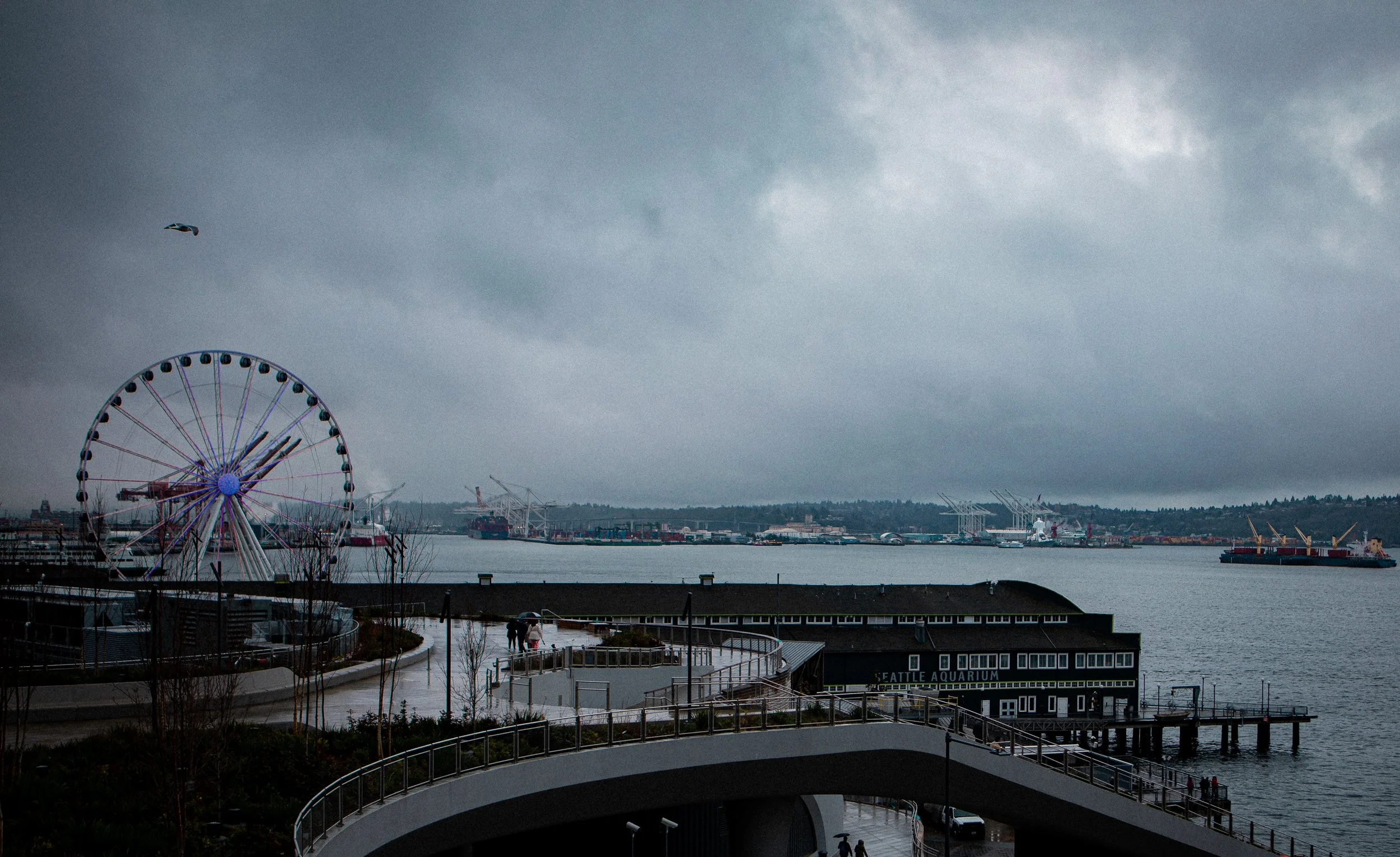 Copy of Copy of SB1_7746.jpg