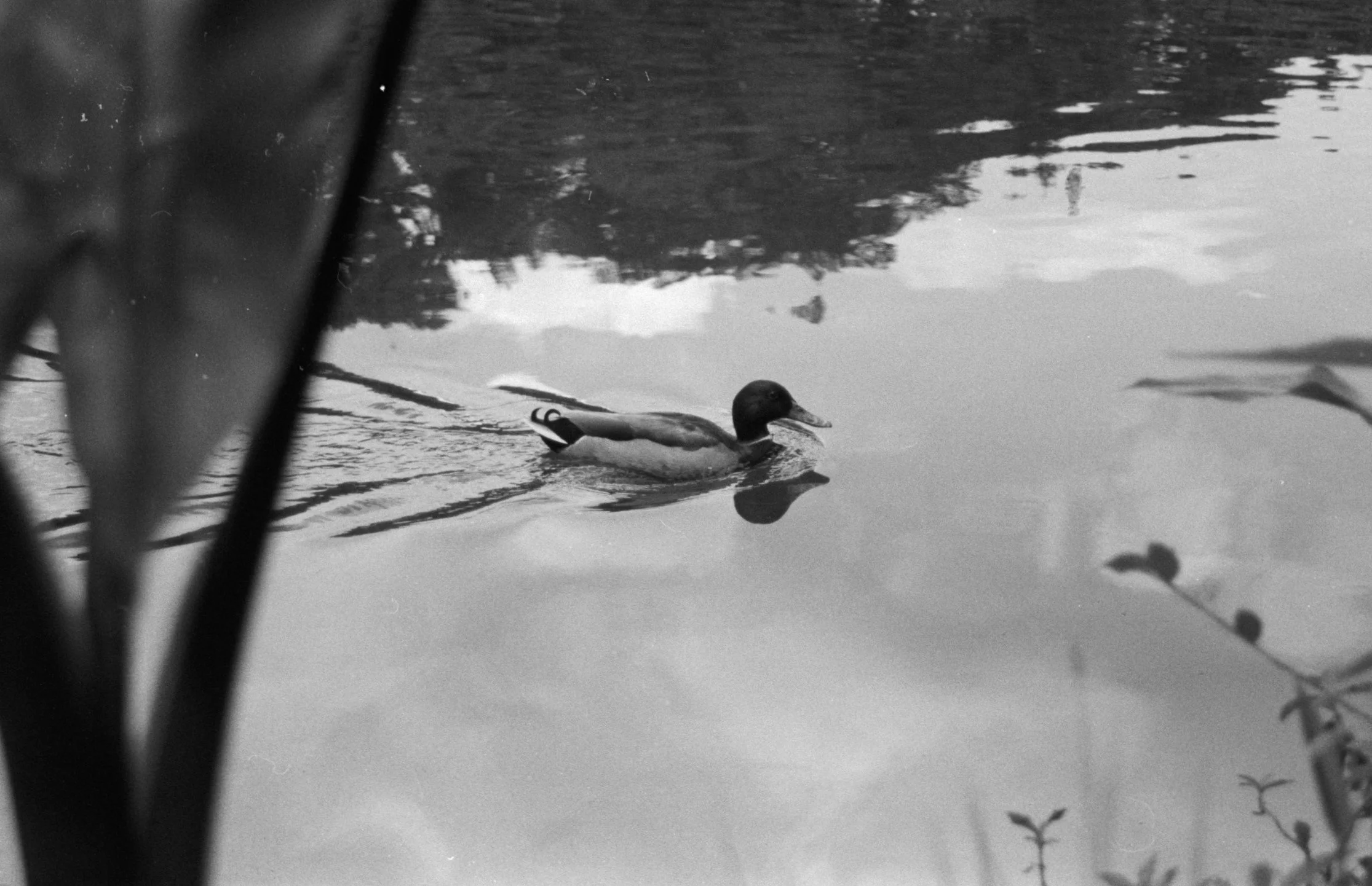 Copy of Copy of M_1.jpg