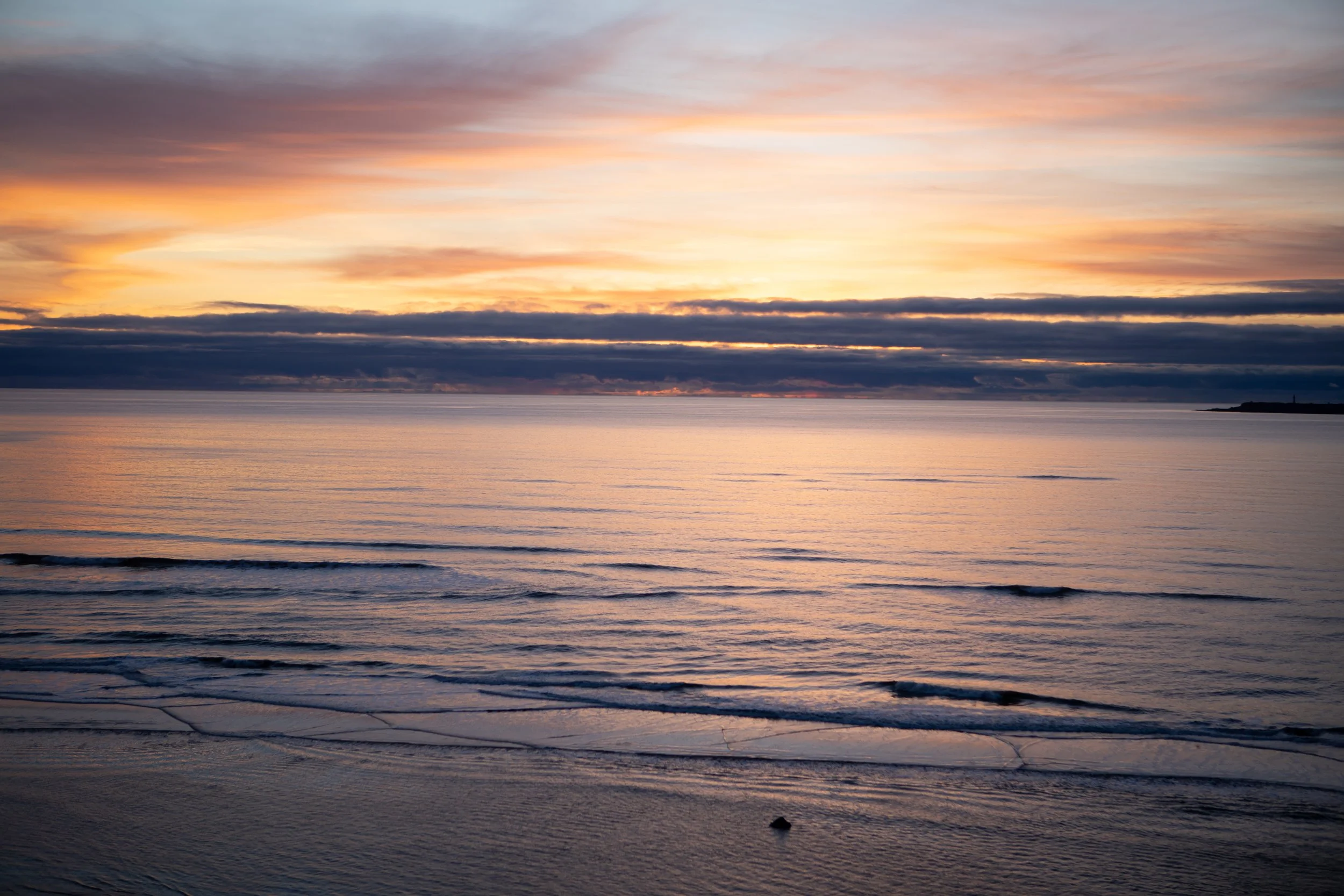 Copy of Copy of SB1_9216.jpg