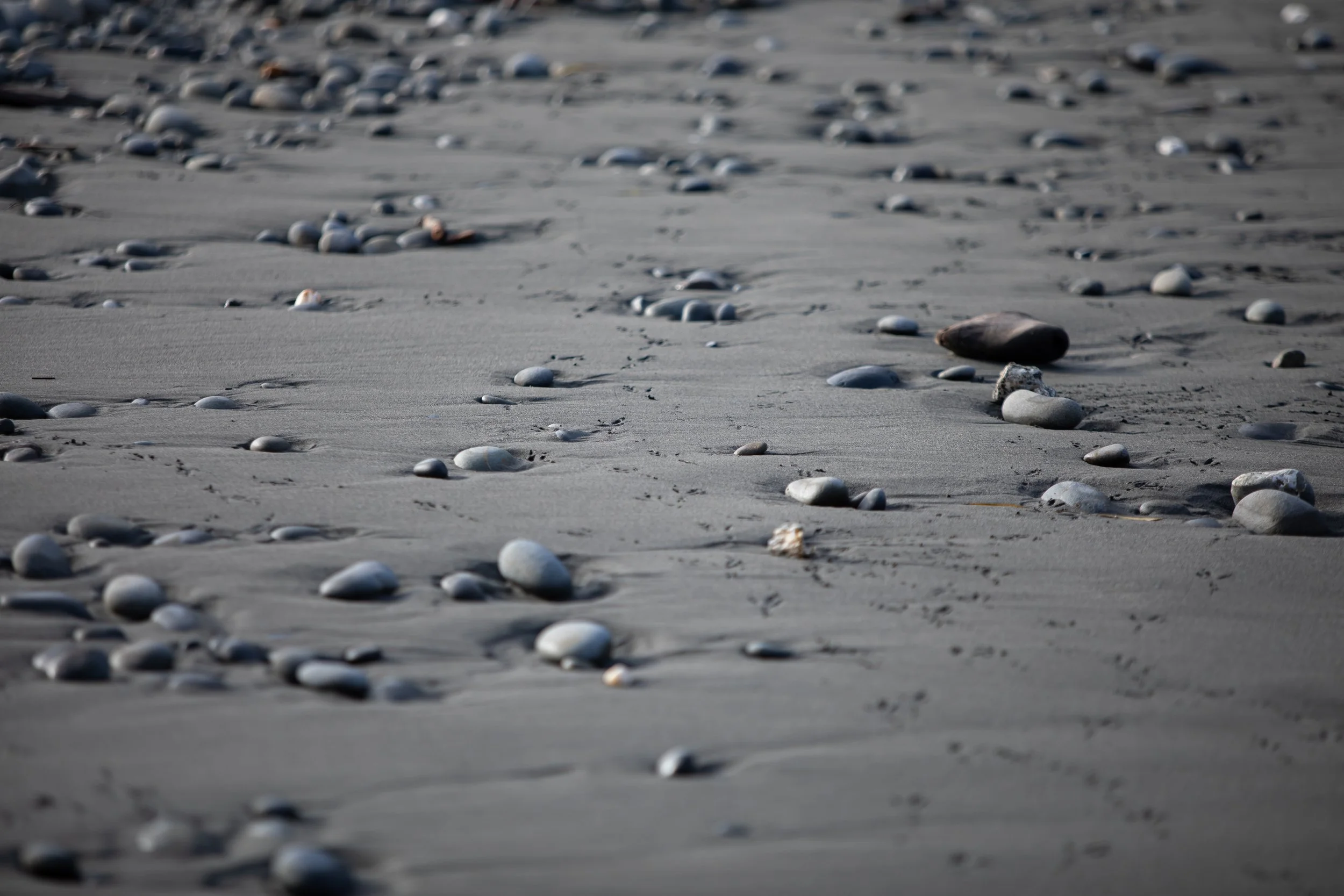 Copy of Copy of SB1_9025.jpg