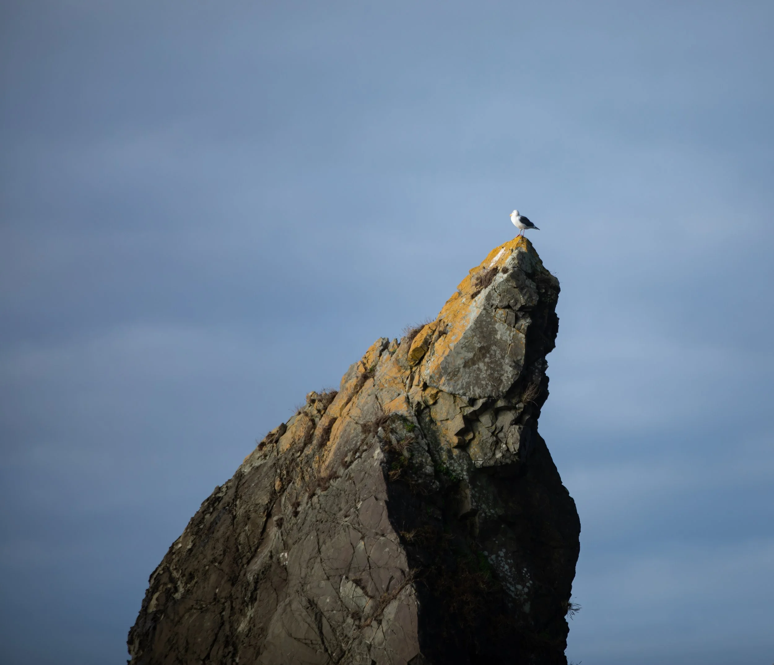 Copy of Copy of SB1_8977.jpg