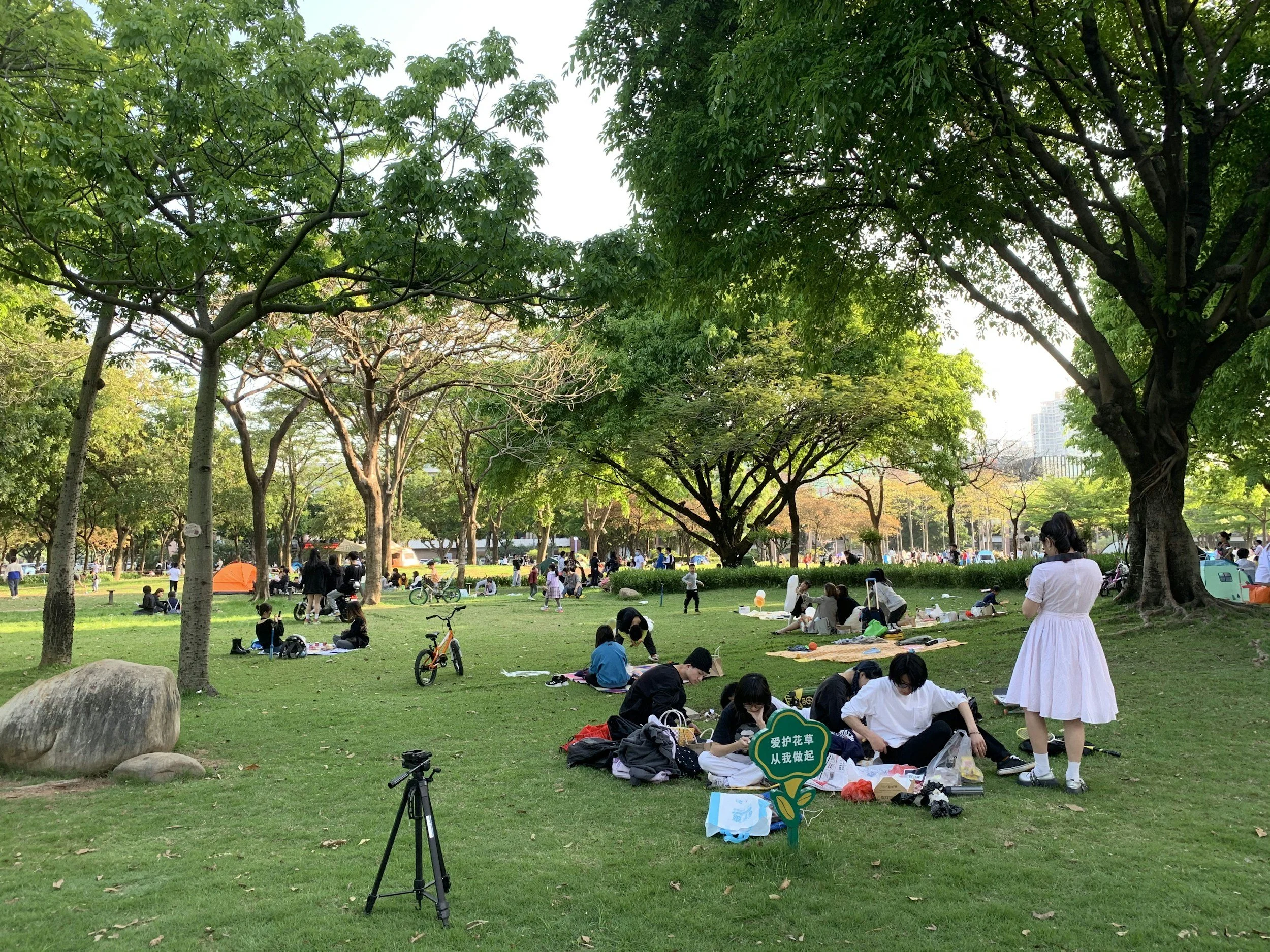 Music in the Park | Dayboro