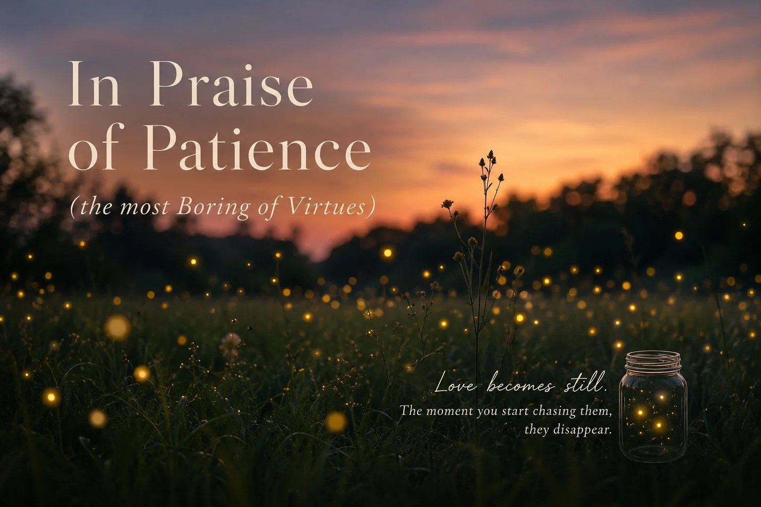 In Praise of Patience (the most Boring of Virtues)