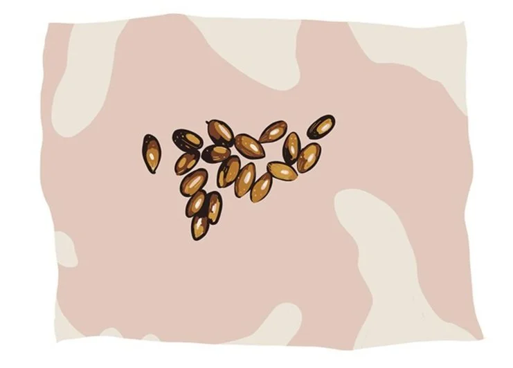 Pecans