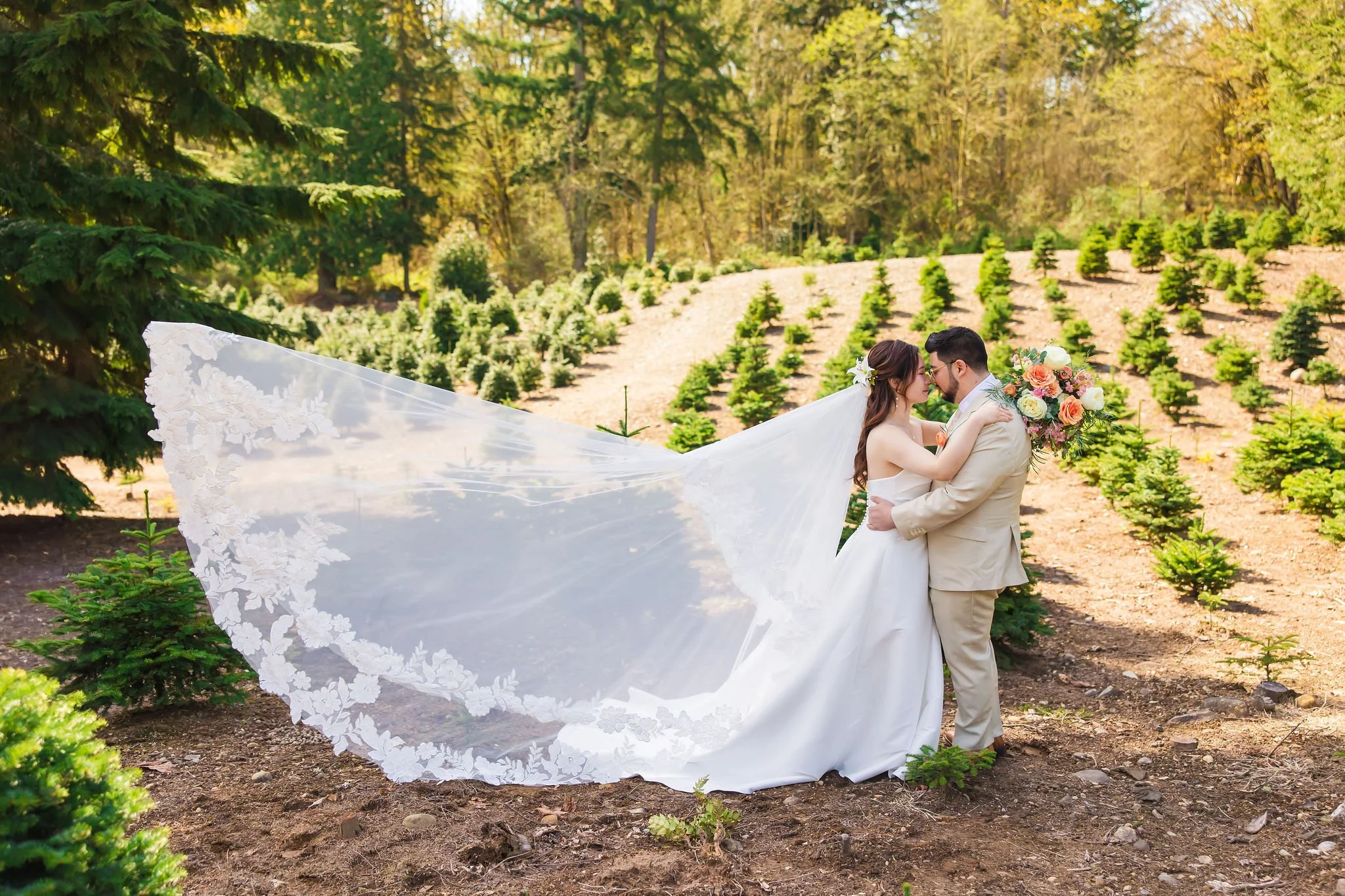 The Barn or The Lodge — How to Choose Your Perfect Washington Wedding Venue at Trinity Tree Farm
