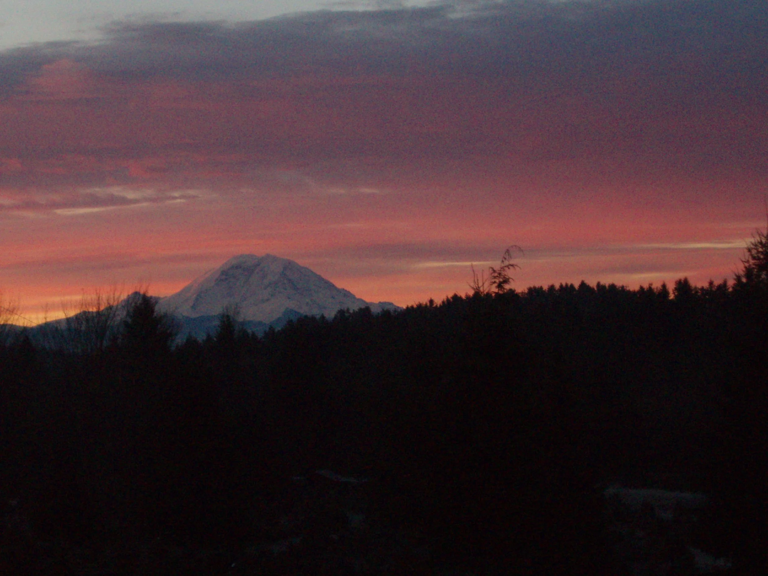 Snow-capped mountain at sunset with a colorful sky and dark forest in the foreground.