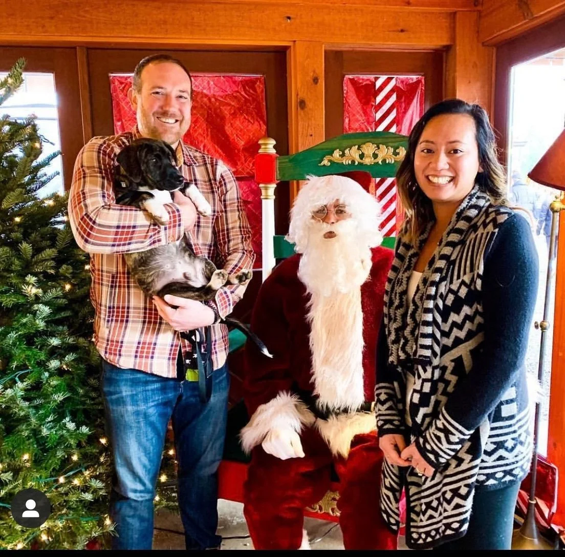 A man and a woman standing next to Santa Claus, who is seated on a red chair. The man is holding two puppies and the woman is smiling. There is a Christmas tree decorated with lights on the left, and Christmas-themed decorations behind them.