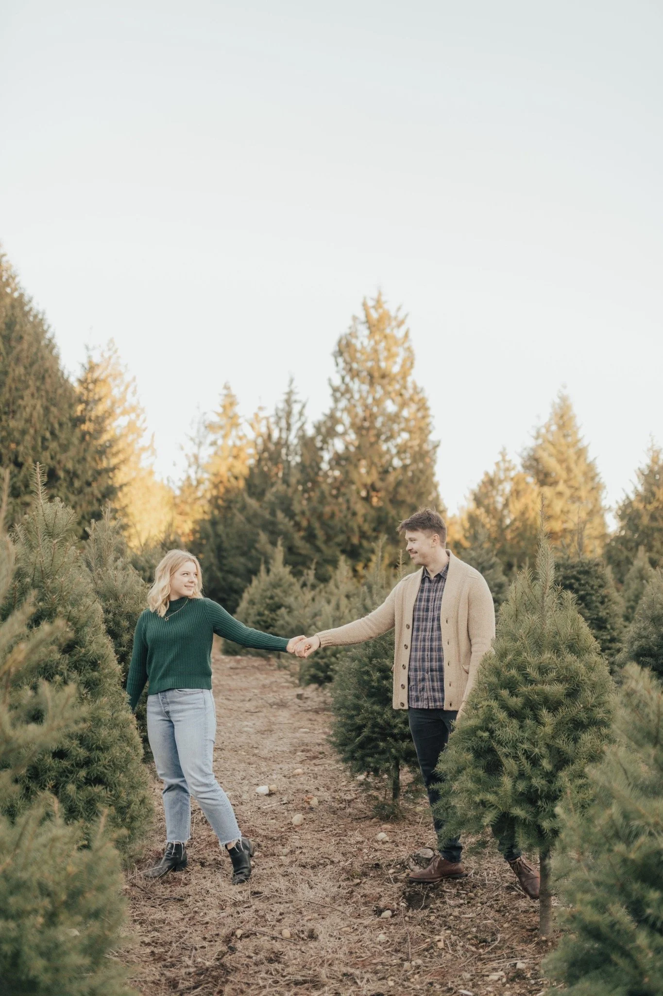 A young couple holding hands and smiling at each other while standing in a Christmas tree farm with tall evergreen trees in the background during sunset.