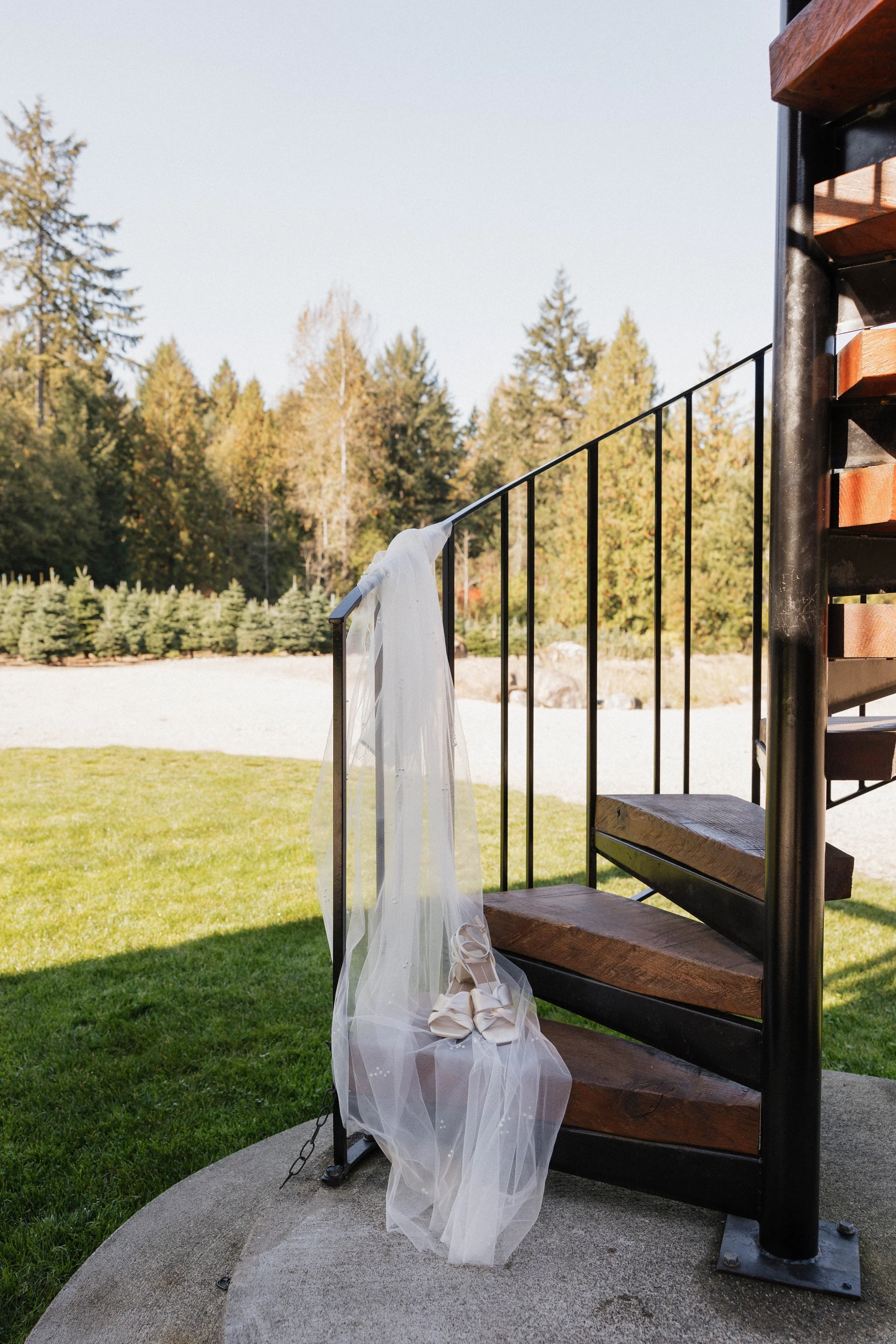 veil on spiral staircase.jpg