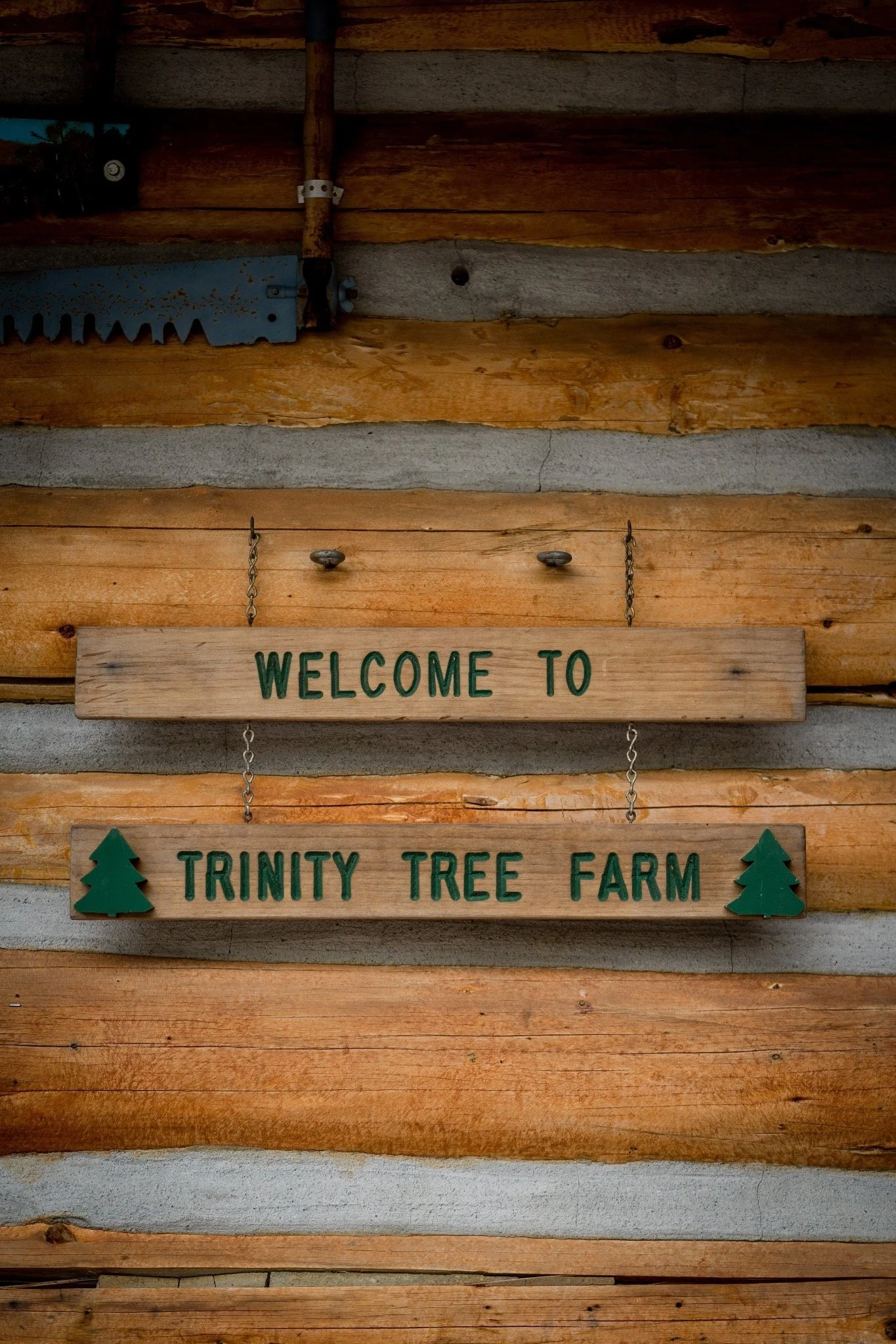 Wooden sign reading 'Welcome to Trinity Tree Farm' with green lettering and small tree icons, mounted on a rustic log wall.