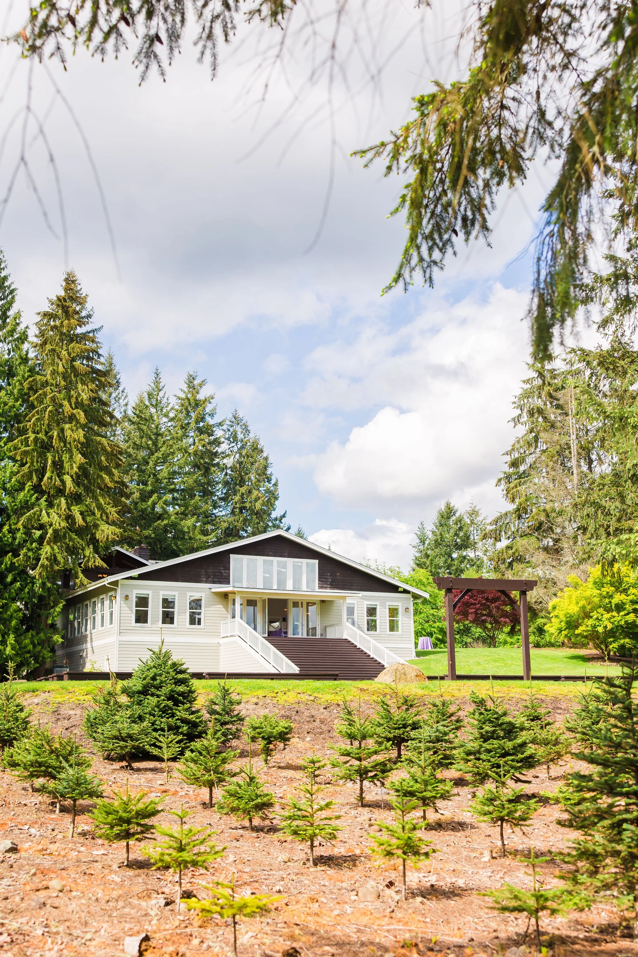 A house with a deck surrounded by trees and a small field of young pine trees.