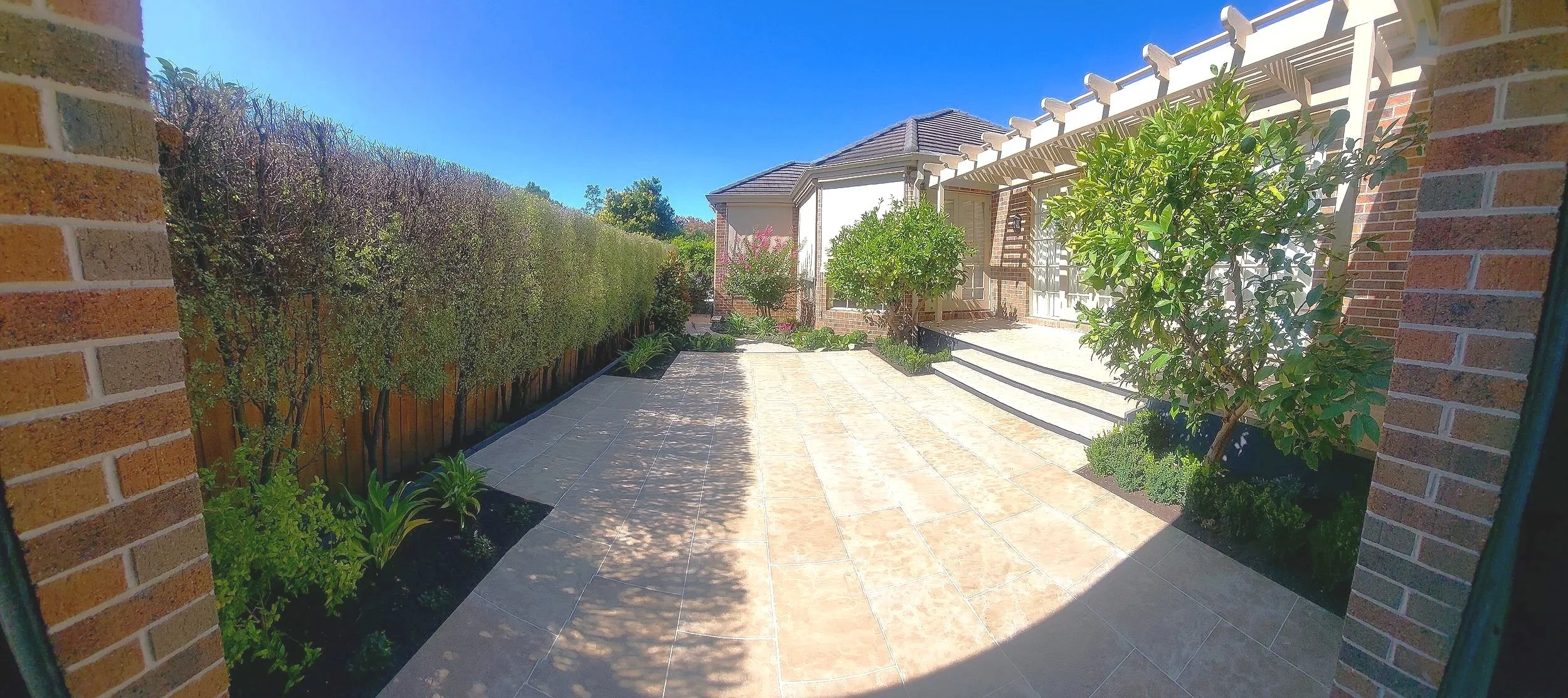 Finch - Glen Iris