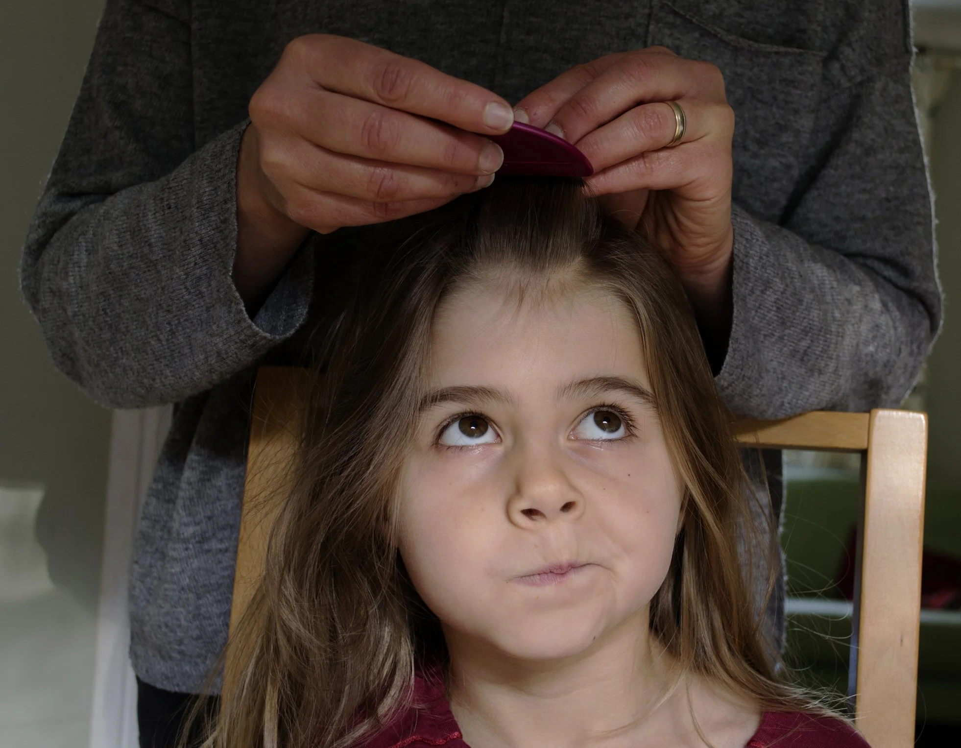 The Real Cost of DIY Lice Treatments