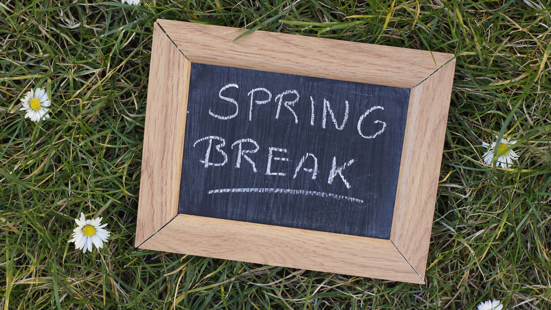 Did Your Child Bring Lice Home From Spring Break? (Nashville Parent Guide)