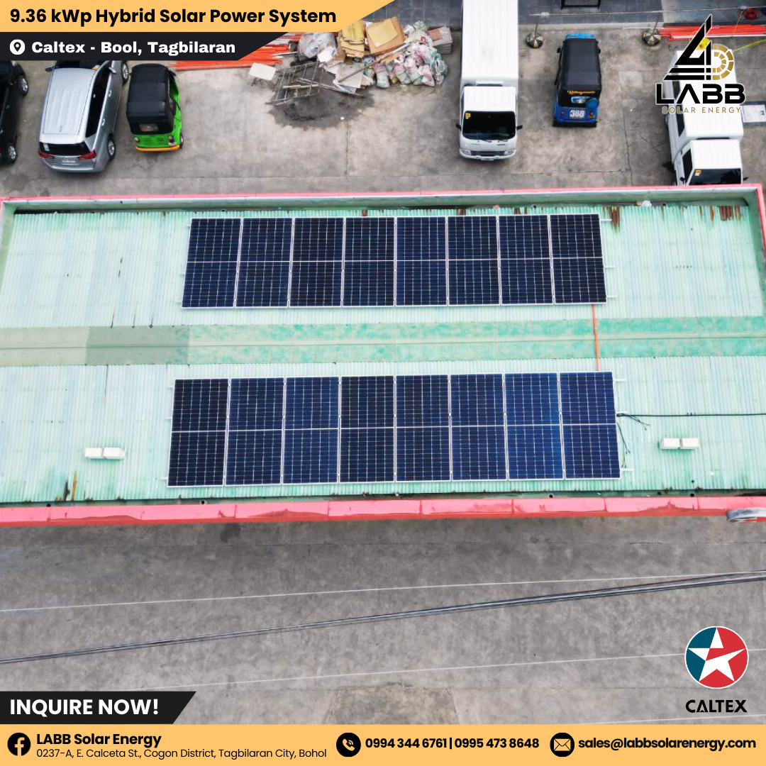 CALTEX CAMELLA (2).png