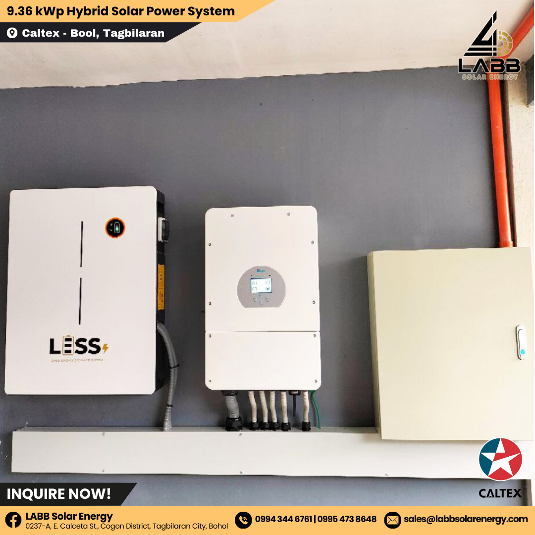 CALTEX CAMELLA (3).png