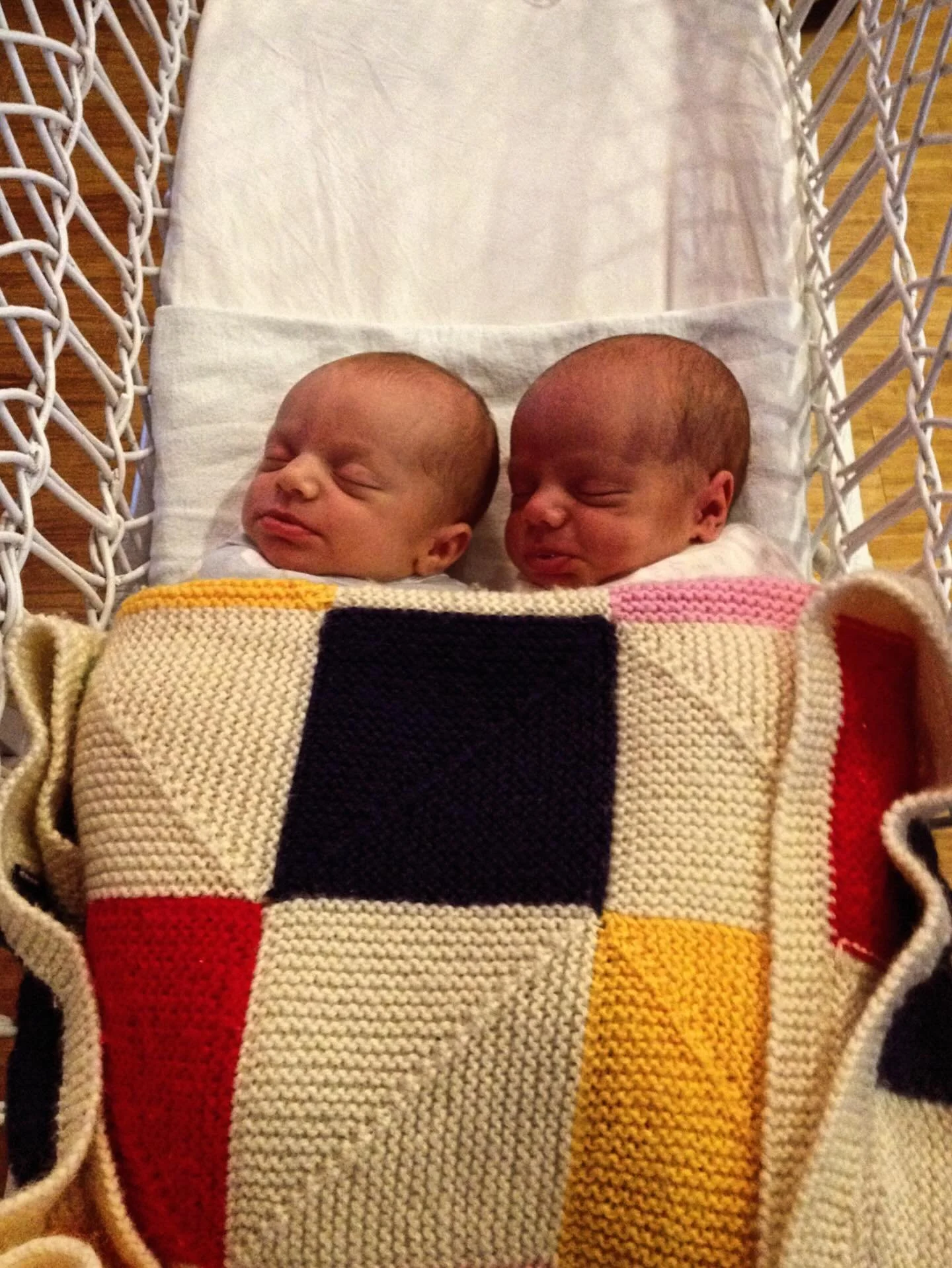 12 Days of Christmas (Gilbert&rsquo;s Cake)

Over the next 12 days, I will document my #gratitude for the many gifts I&rsquo;ve received this year, as I&rsquo;ve set out to publish my picture book ❤️ I can&rsquo;t let 2025 end without acknowledging a