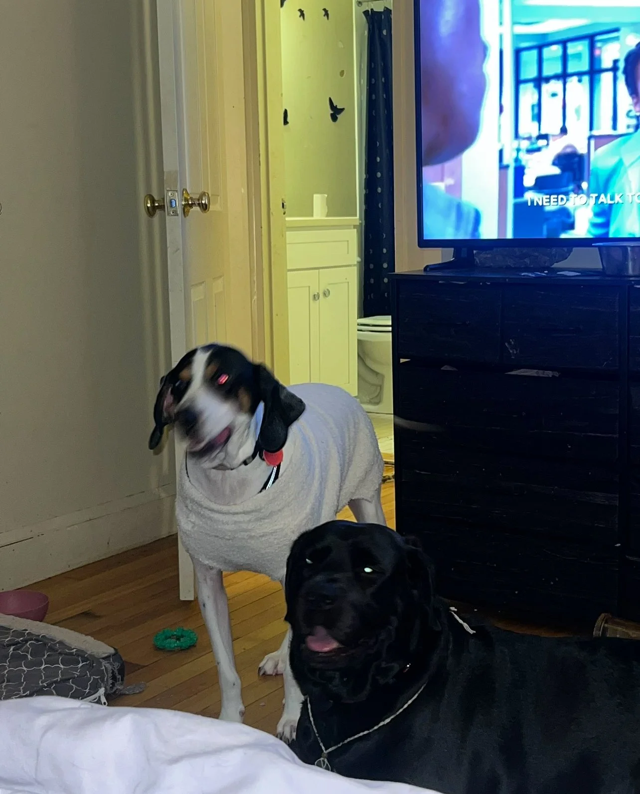 ENCHANTED LONG BOARDS