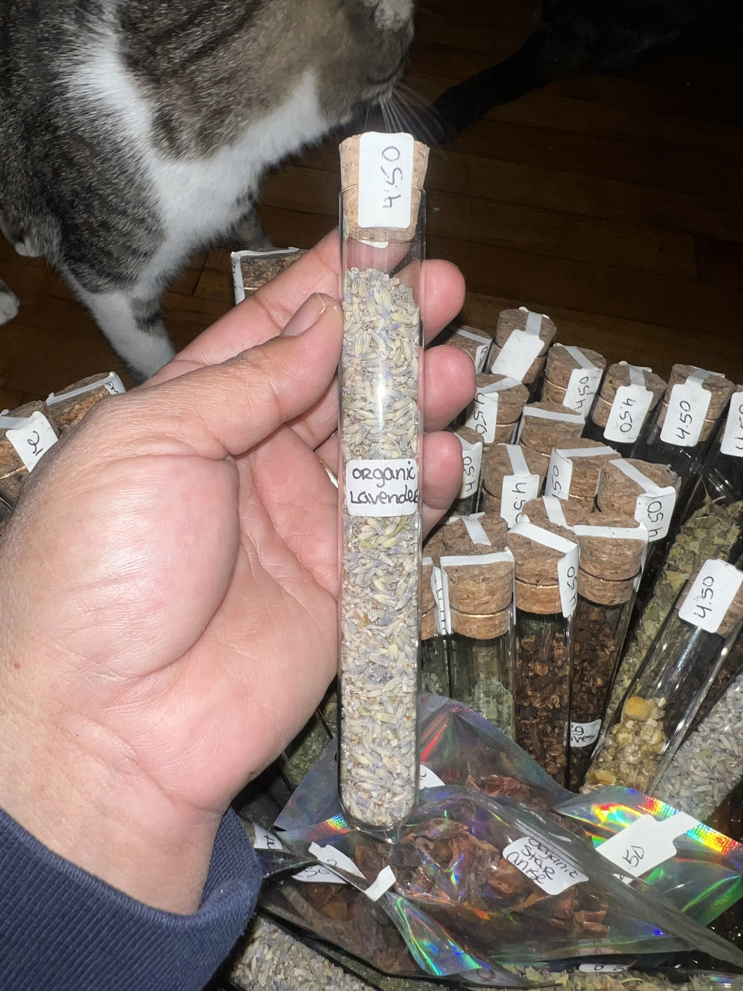 Organic Lavender – Spiritually Cleansed