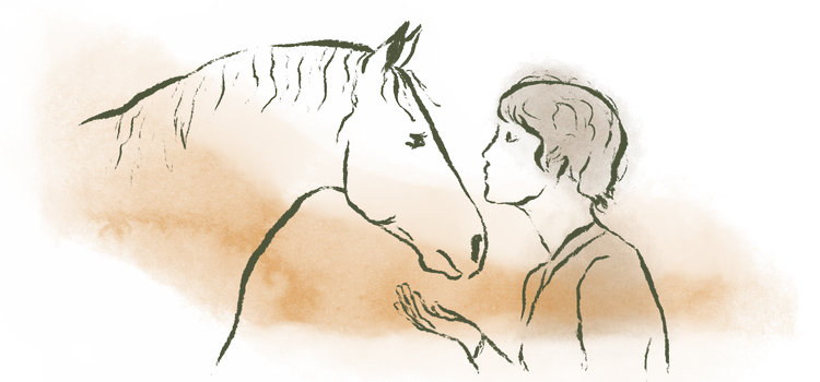 A minimalist green ink contour drawing showcasing a horse's head lowering in a state of soft parasympathetic release, accompanied by a faint, horizontally brushed and erased watercolor wash over a transparent background.